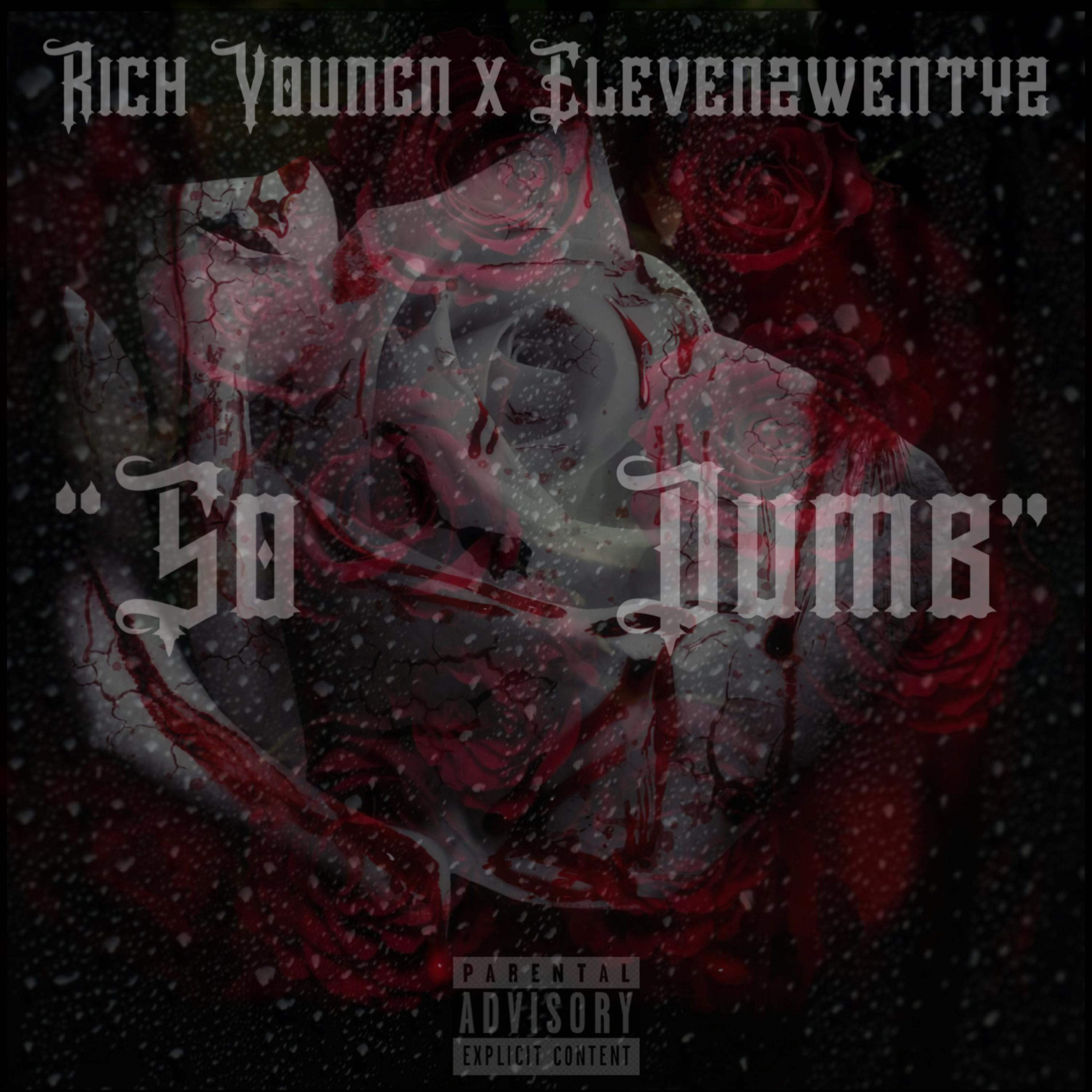 So Dumb artwork