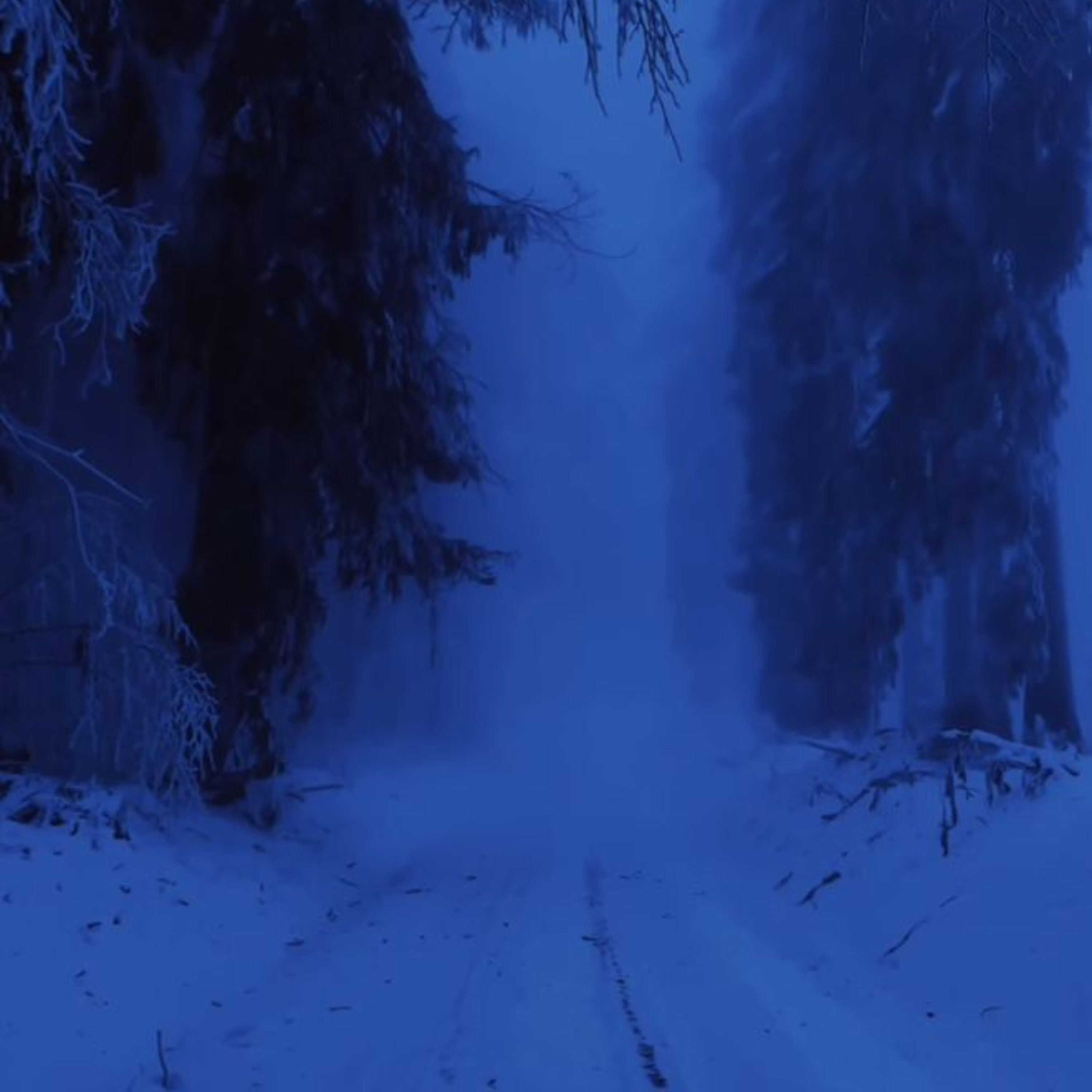 eternal winter artwork