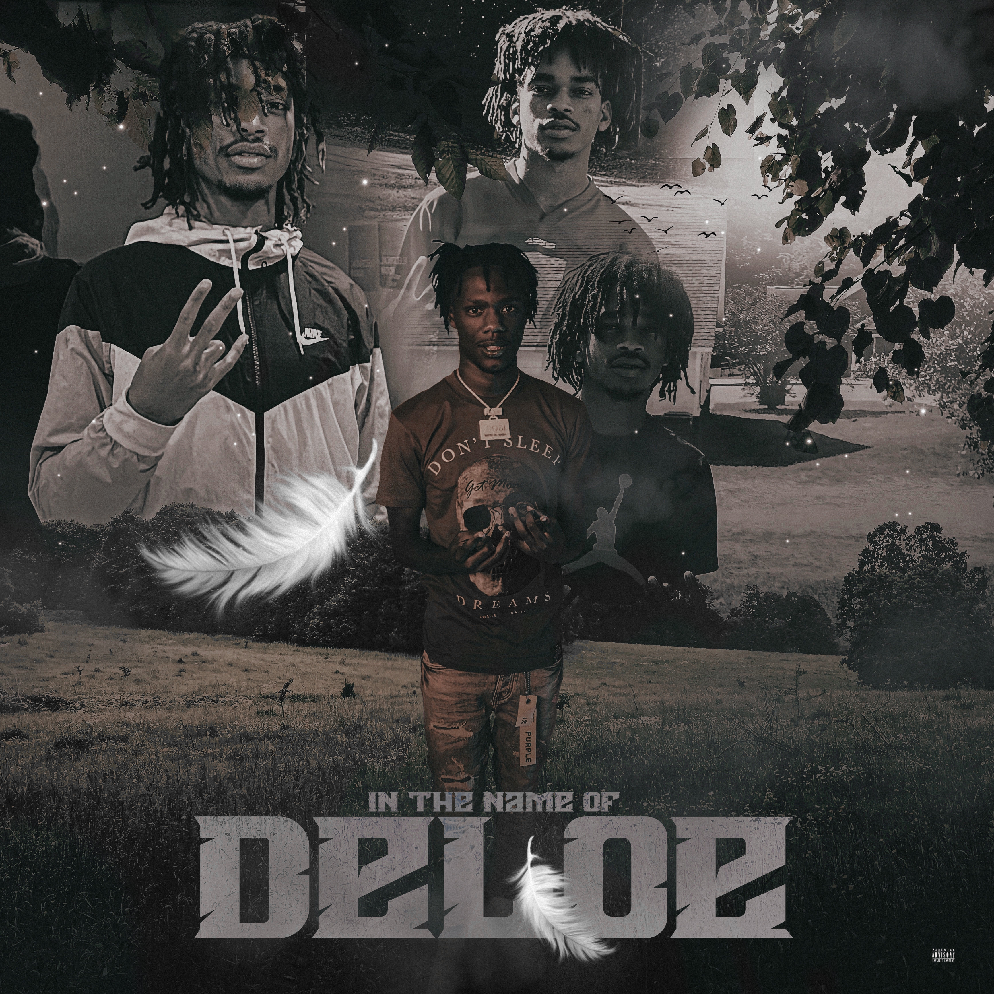 In The Name Of Deloe artwork