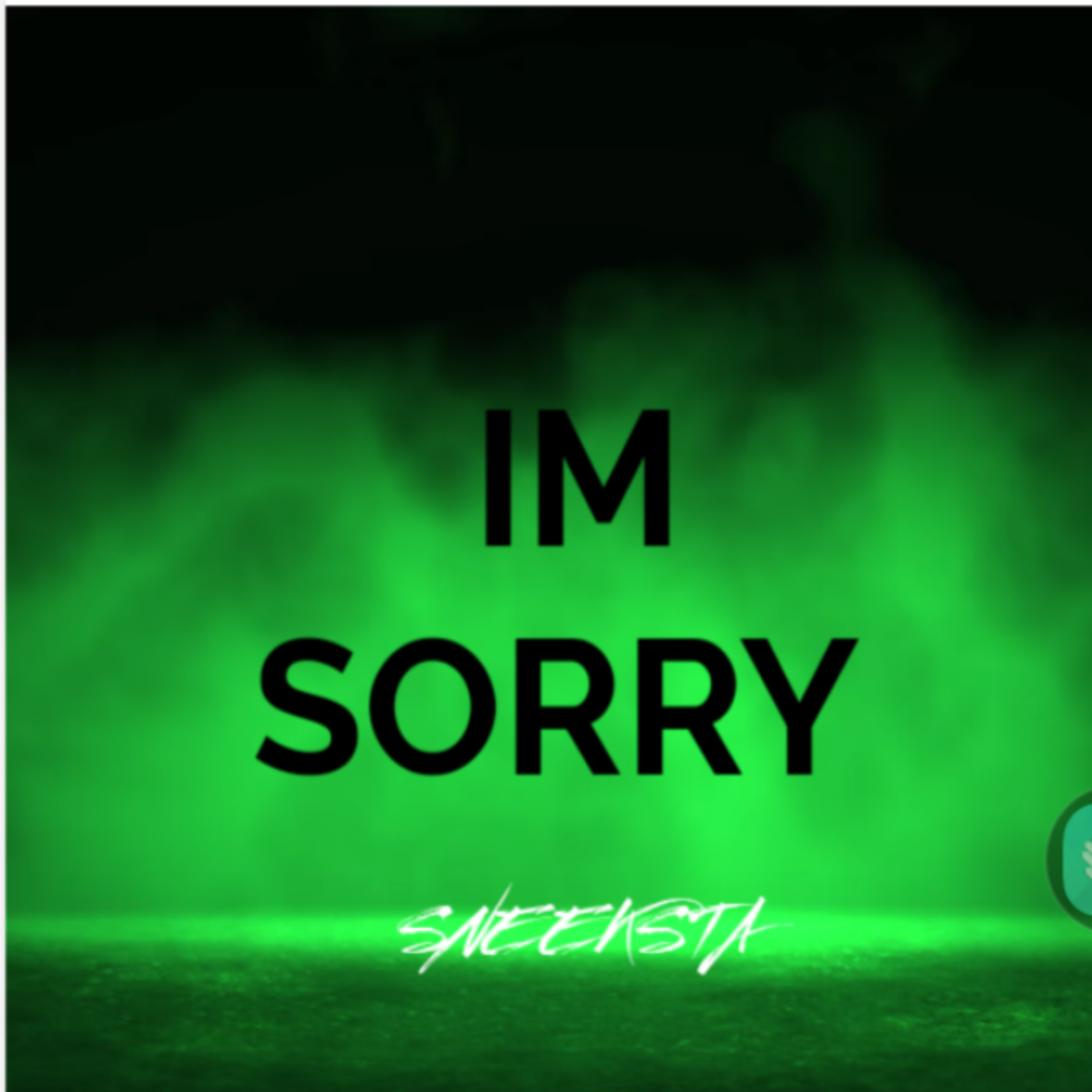 IM SORRY artwork