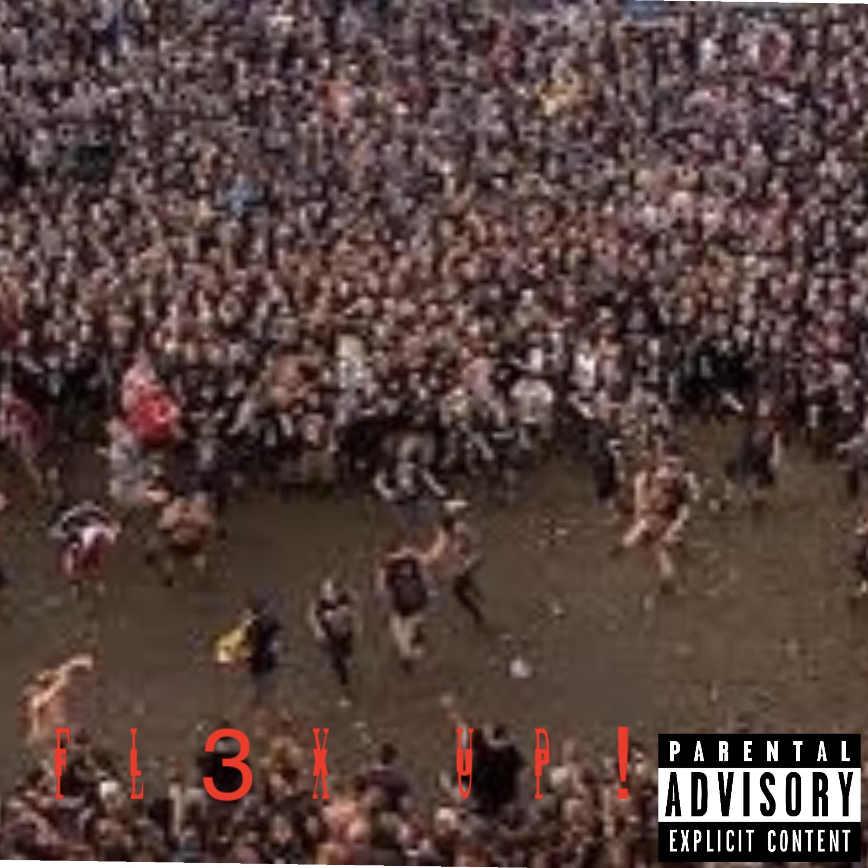 FL3X UP! artwork