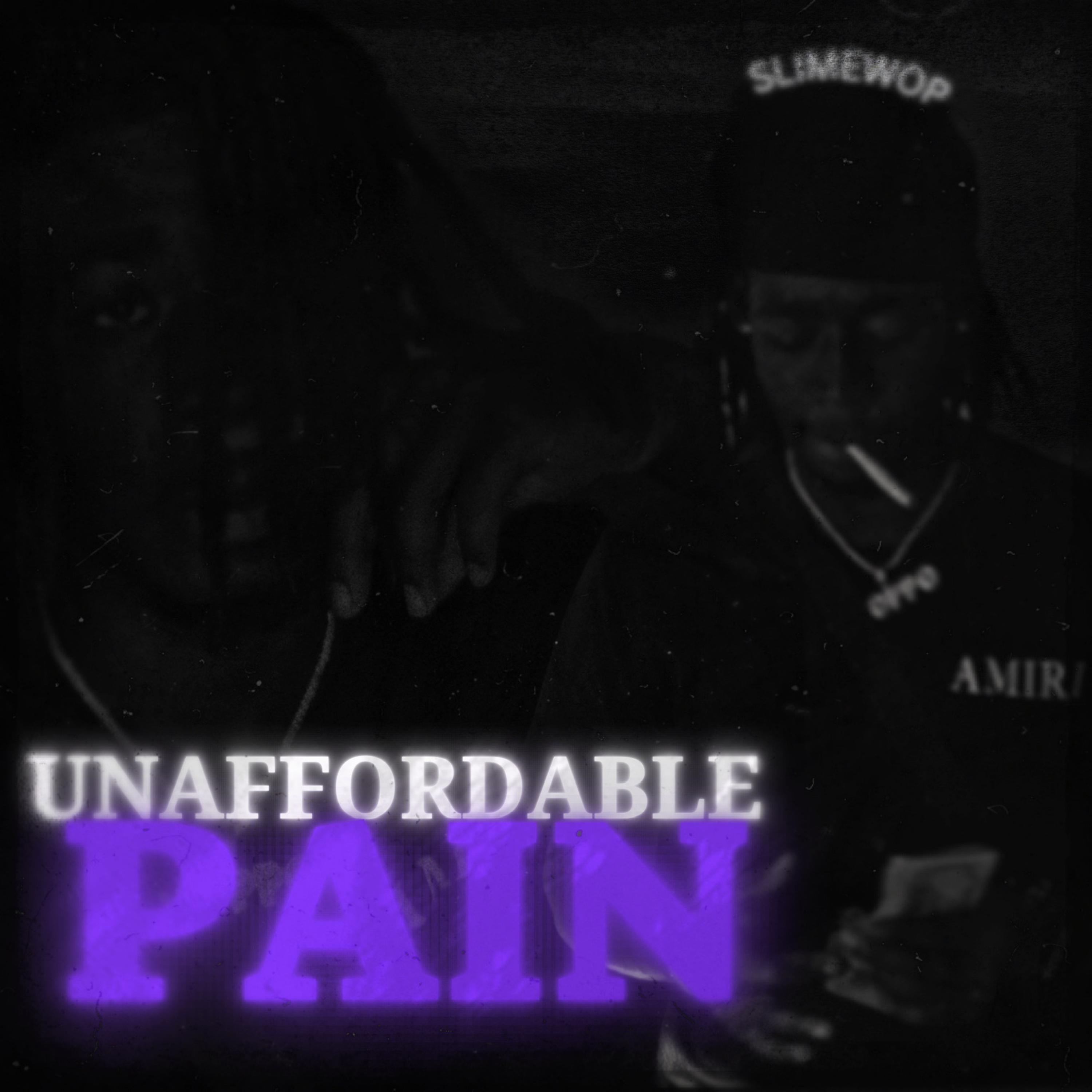 Unaffordable Pain(Storytime) by 1ofNone cover art