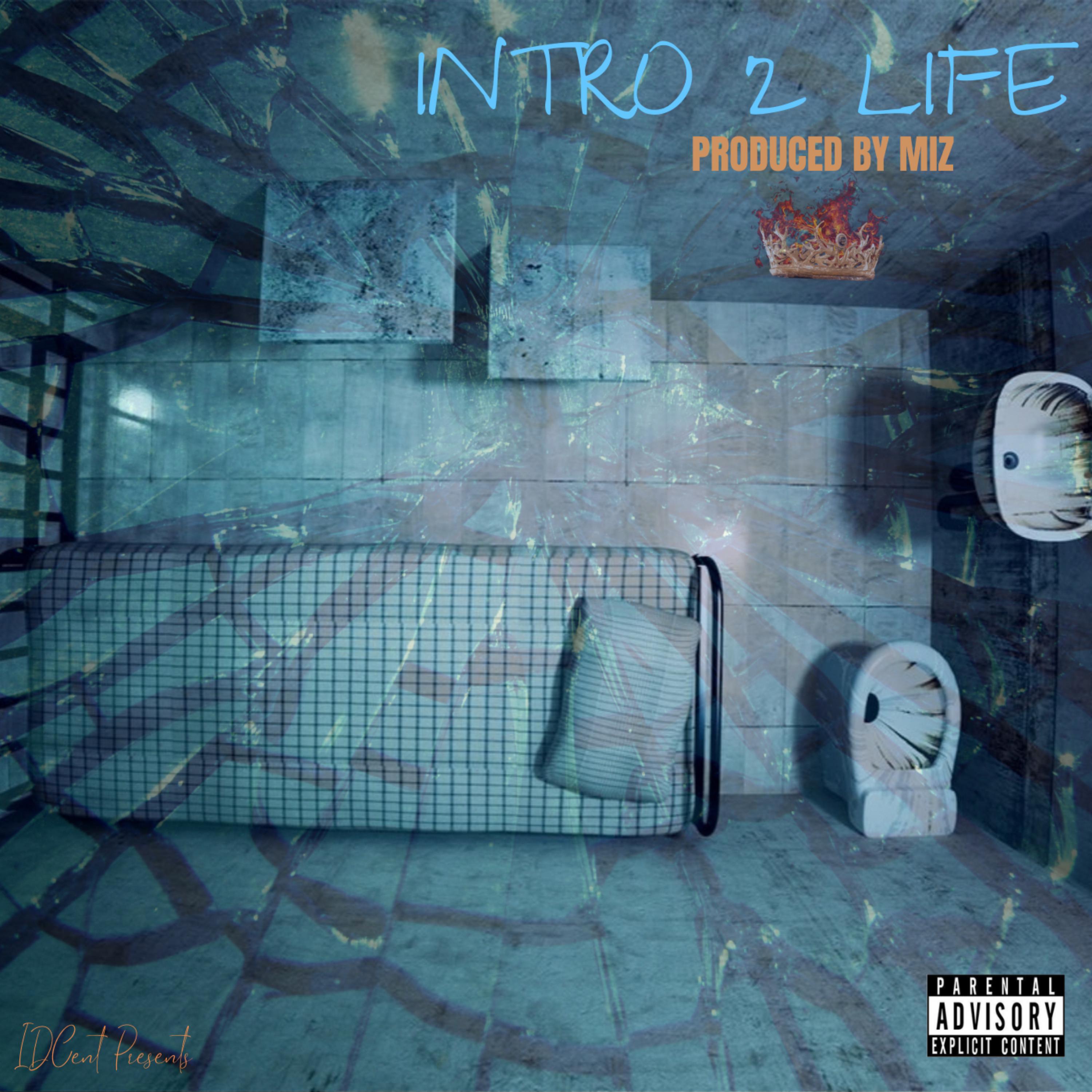Intro 2 Life artwork
