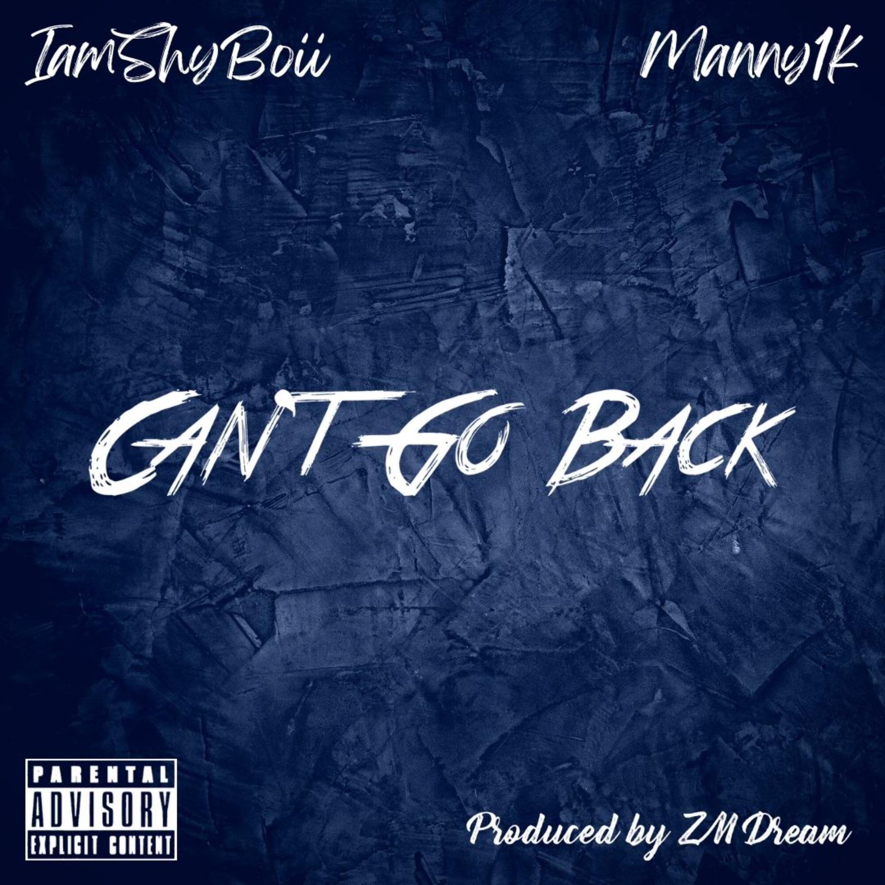 Can't Go Back by IamShyBoii cover art