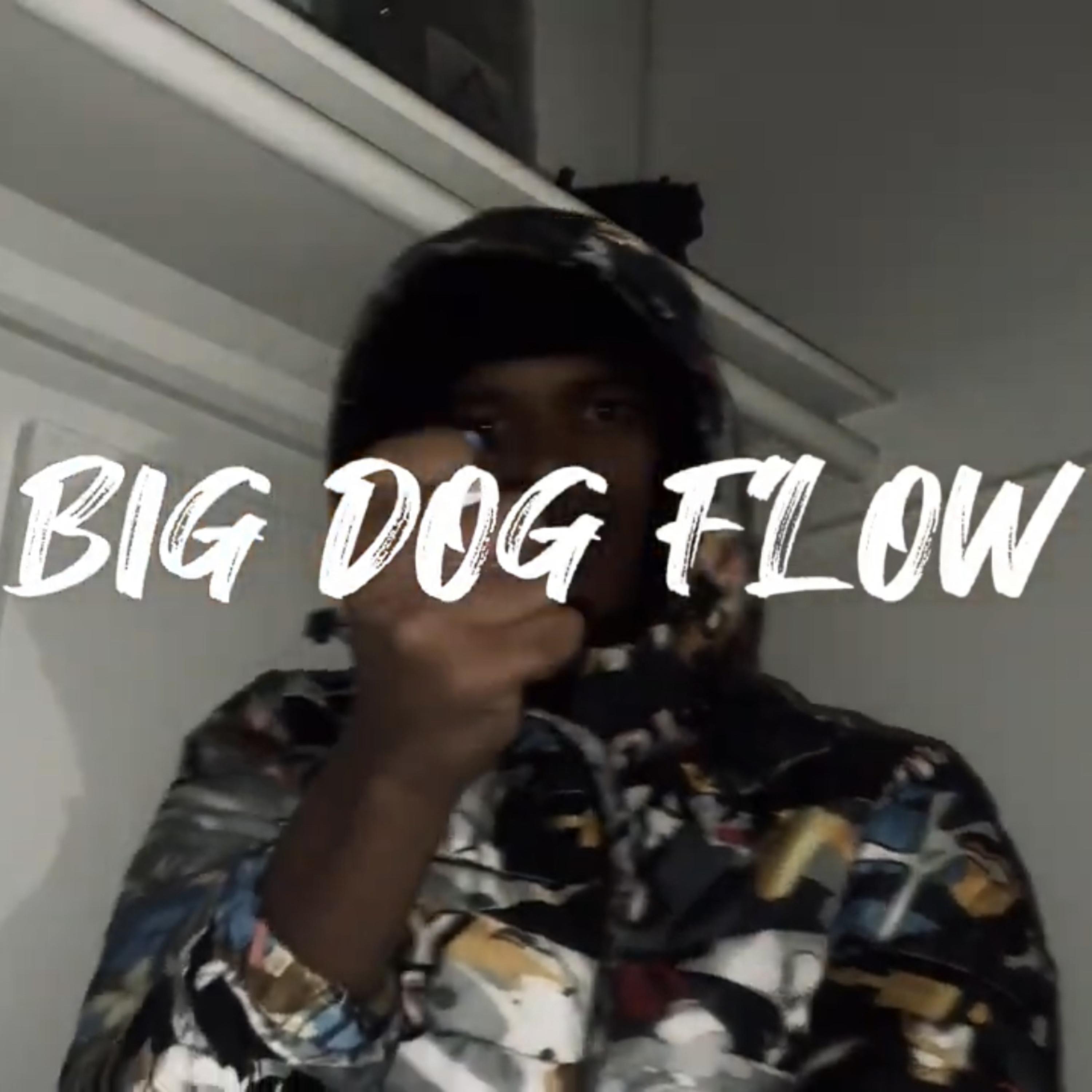 Big Dog Flow artwork