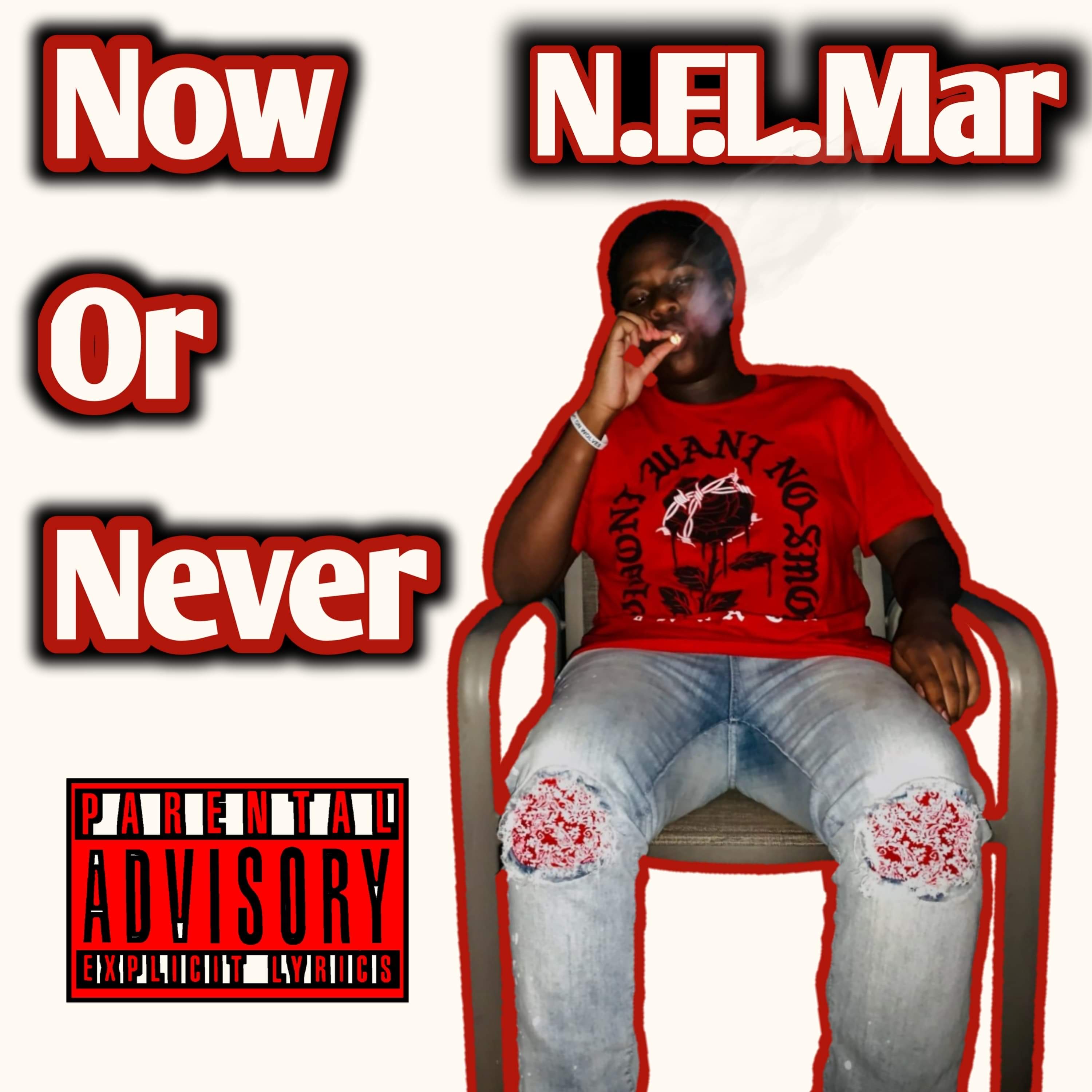 Now Or Never by N.F.L.Mar cover art