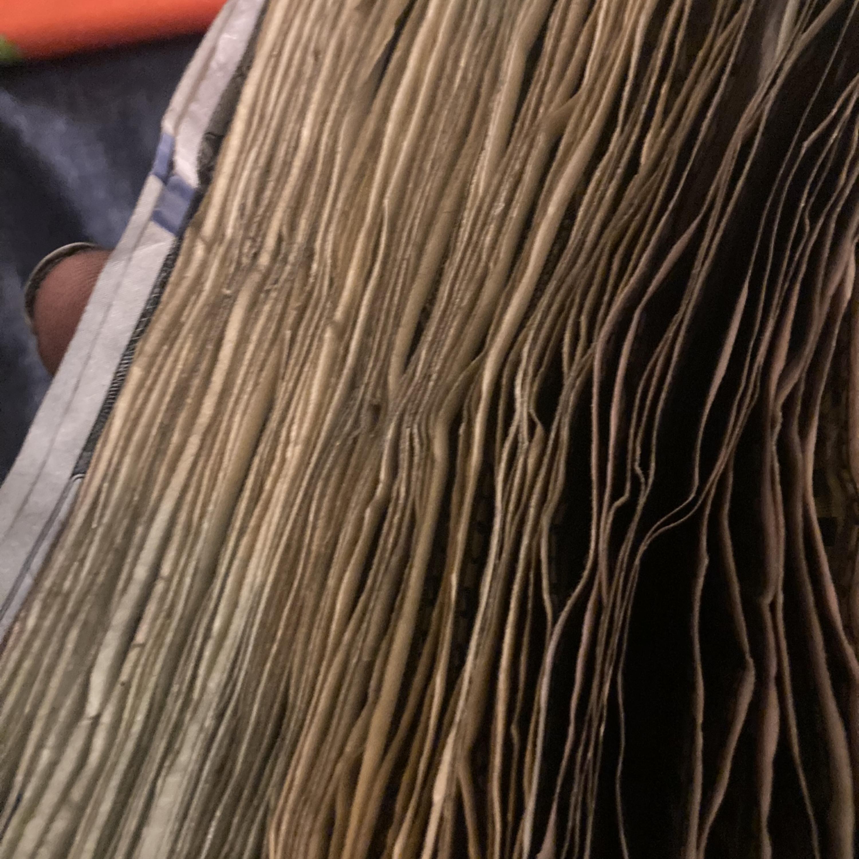 Ain’t Nomo Packs artwork