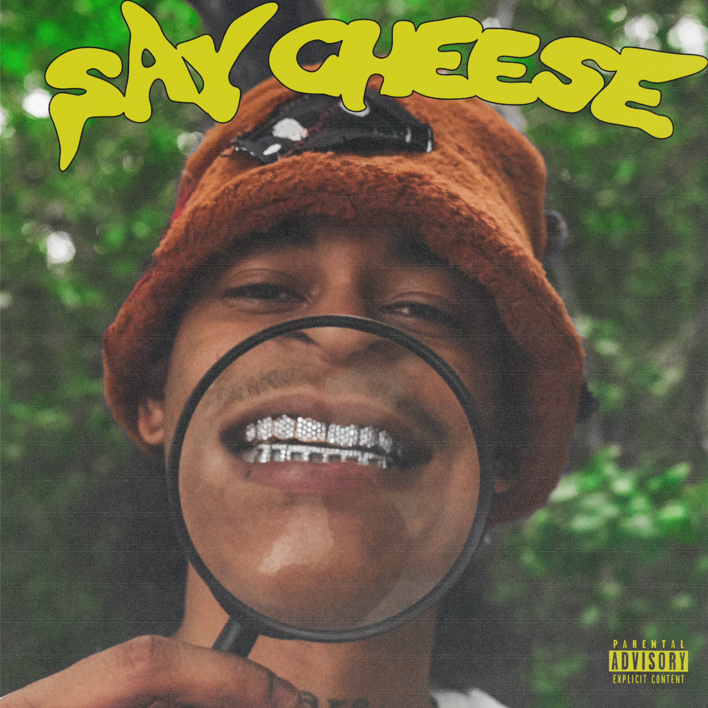 Say Cheese artwork