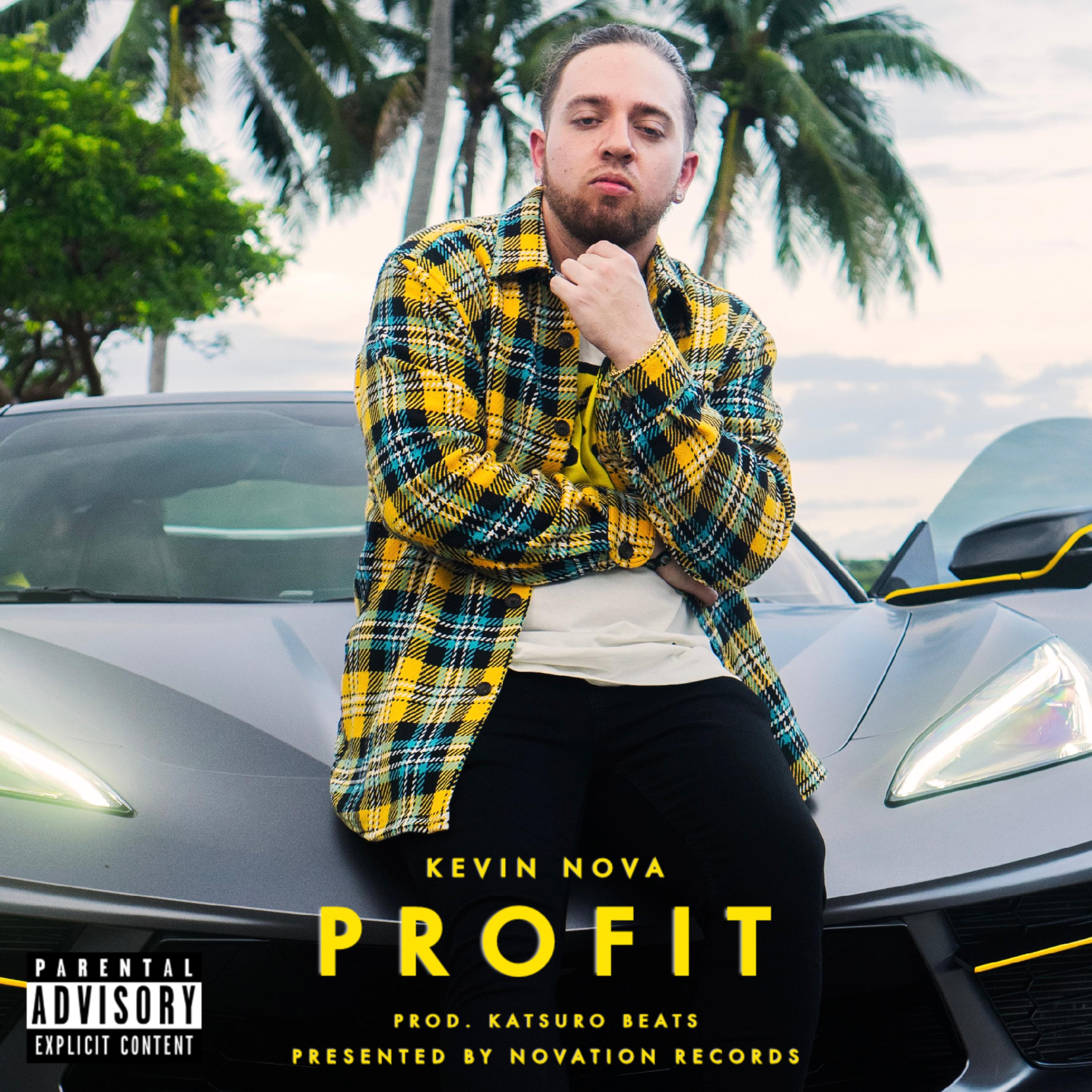 PROFIT artwork