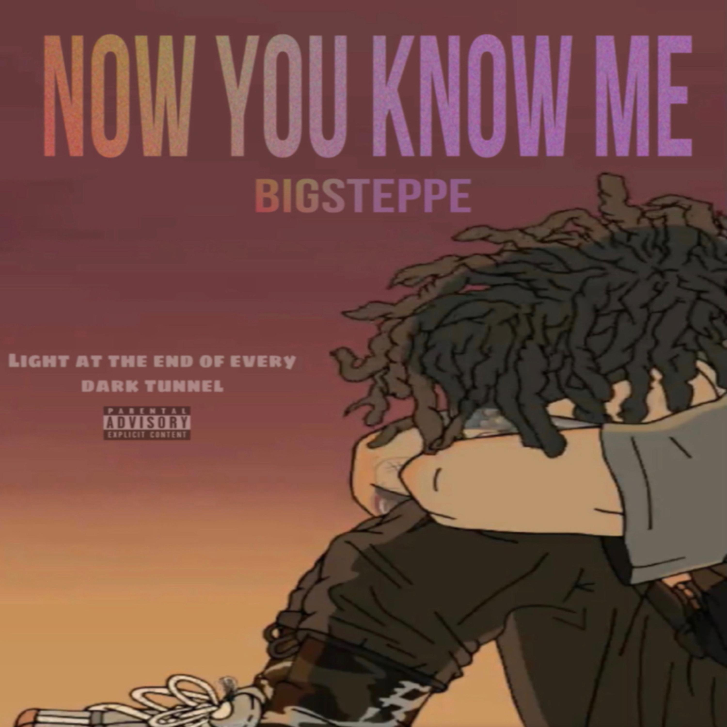 Now You Know Me artwork