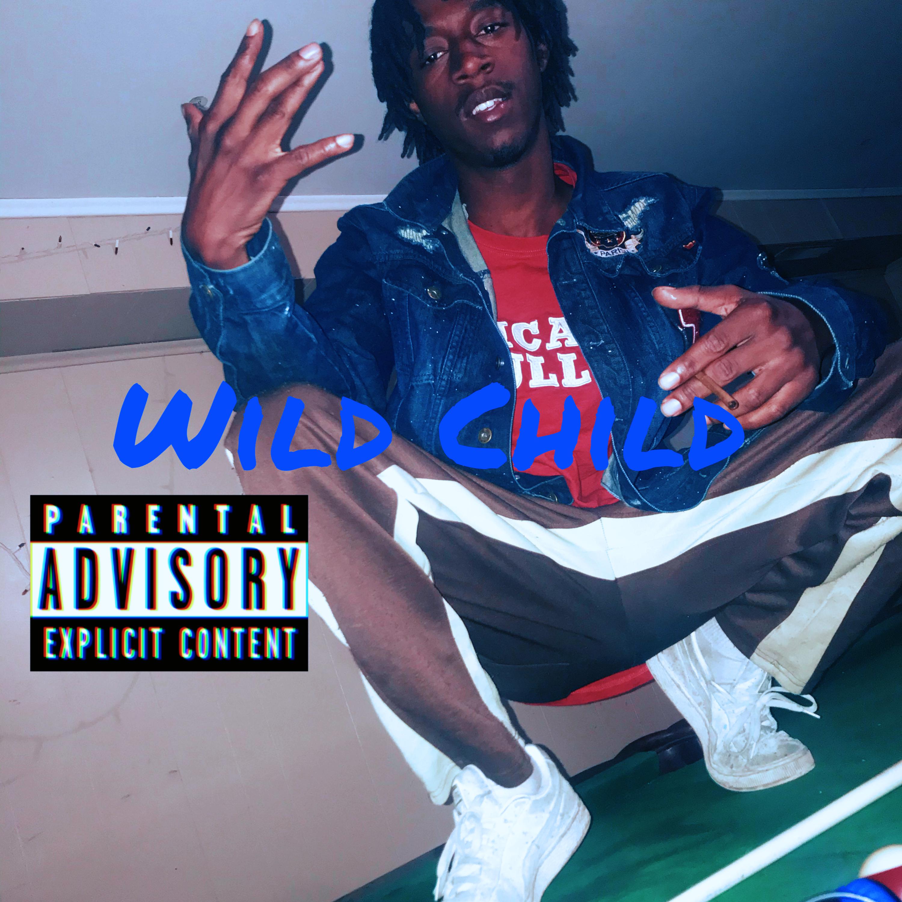 Wild Child by Wildlife Dee cover art
