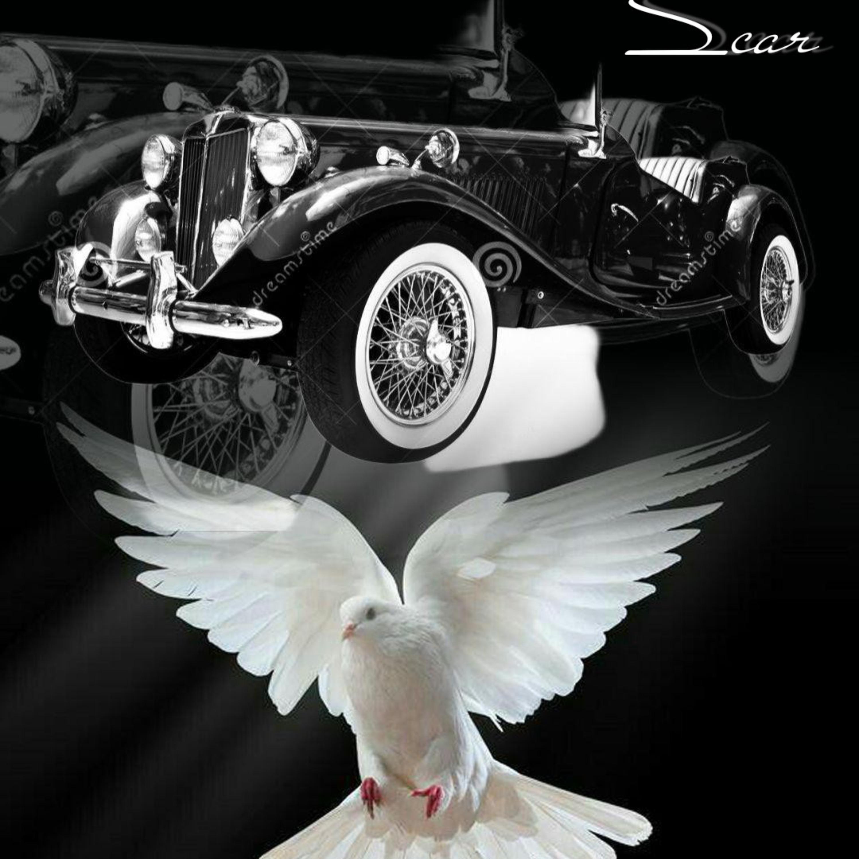 Drop Tops by S.C.A.R cover art
