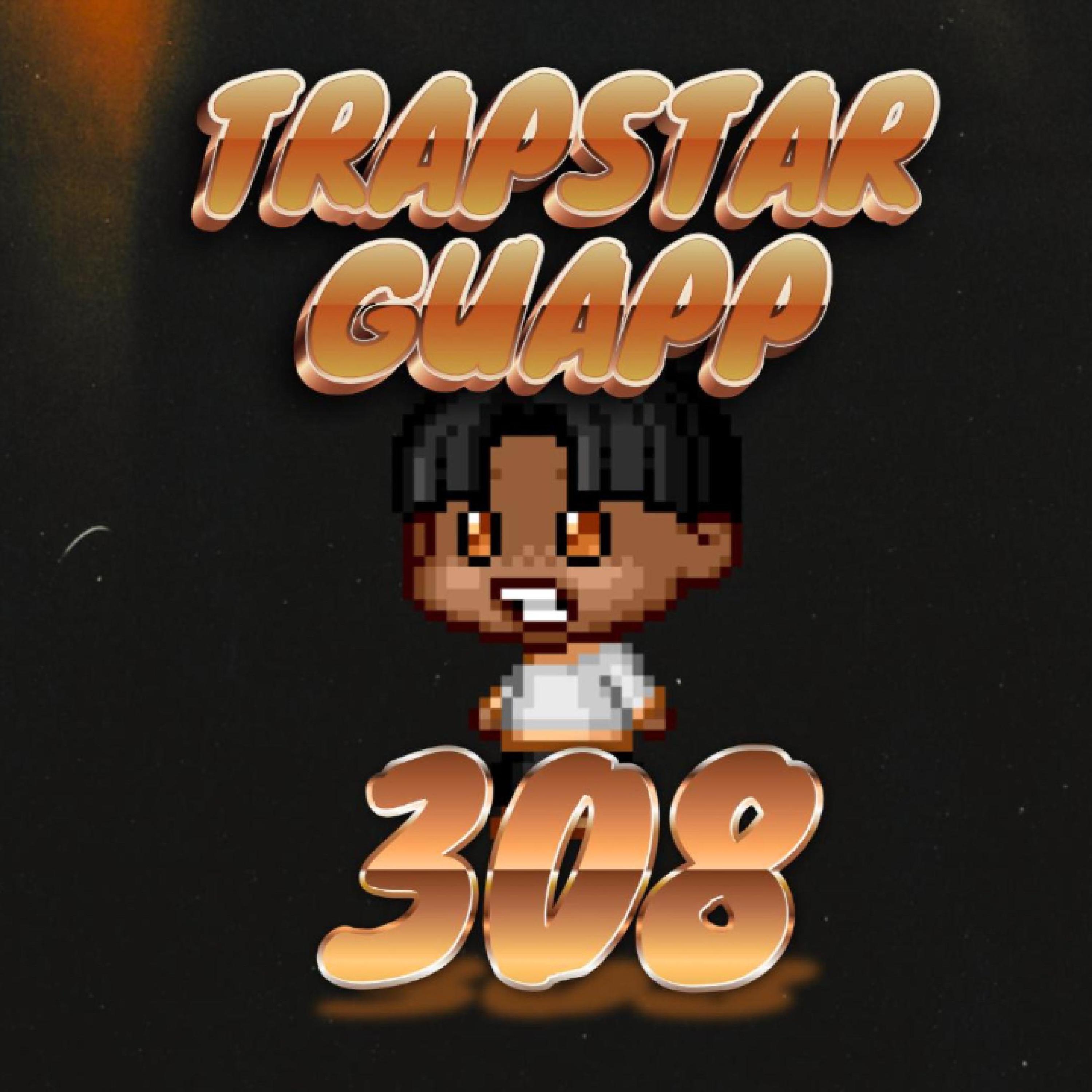 308 artwork