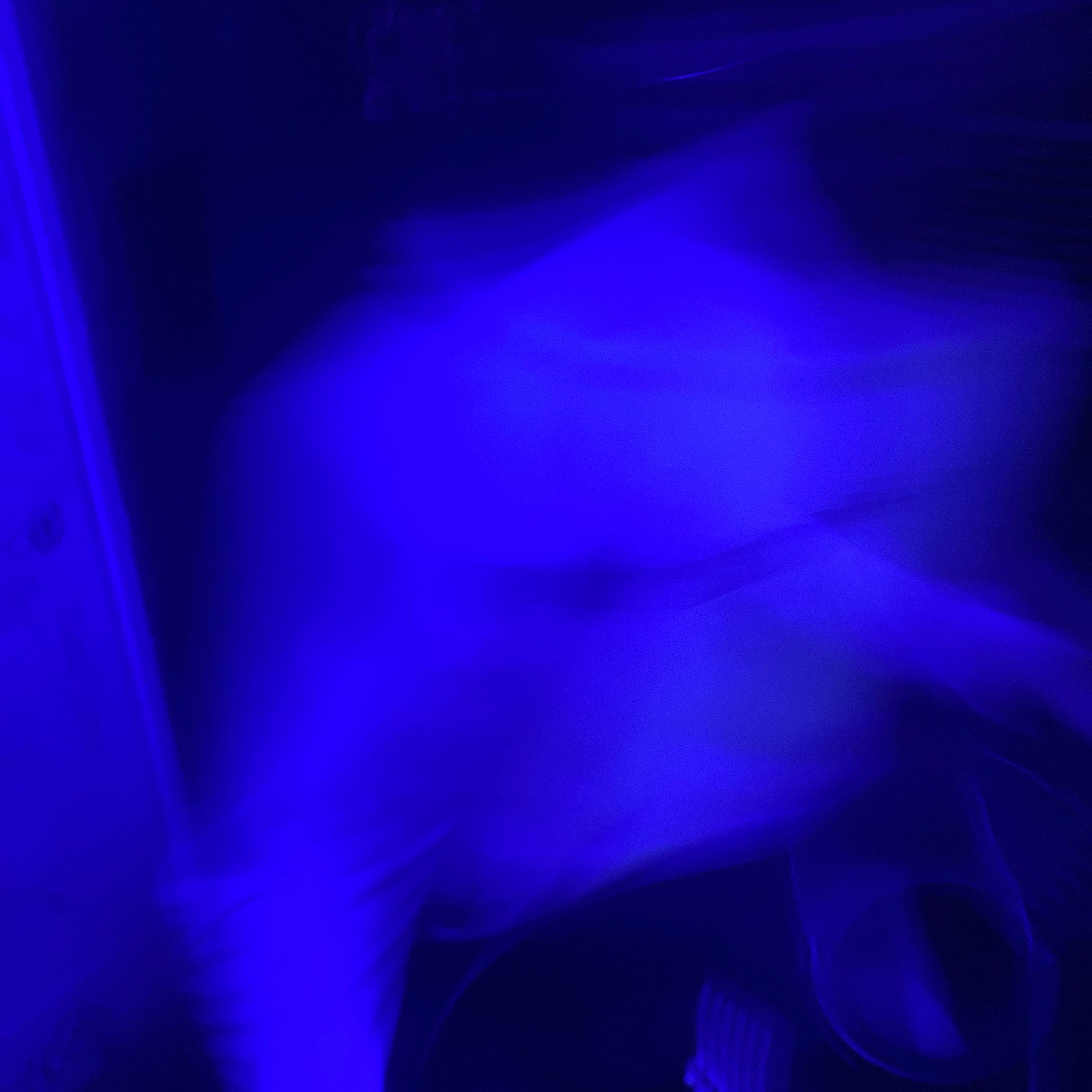Spin Back artwork