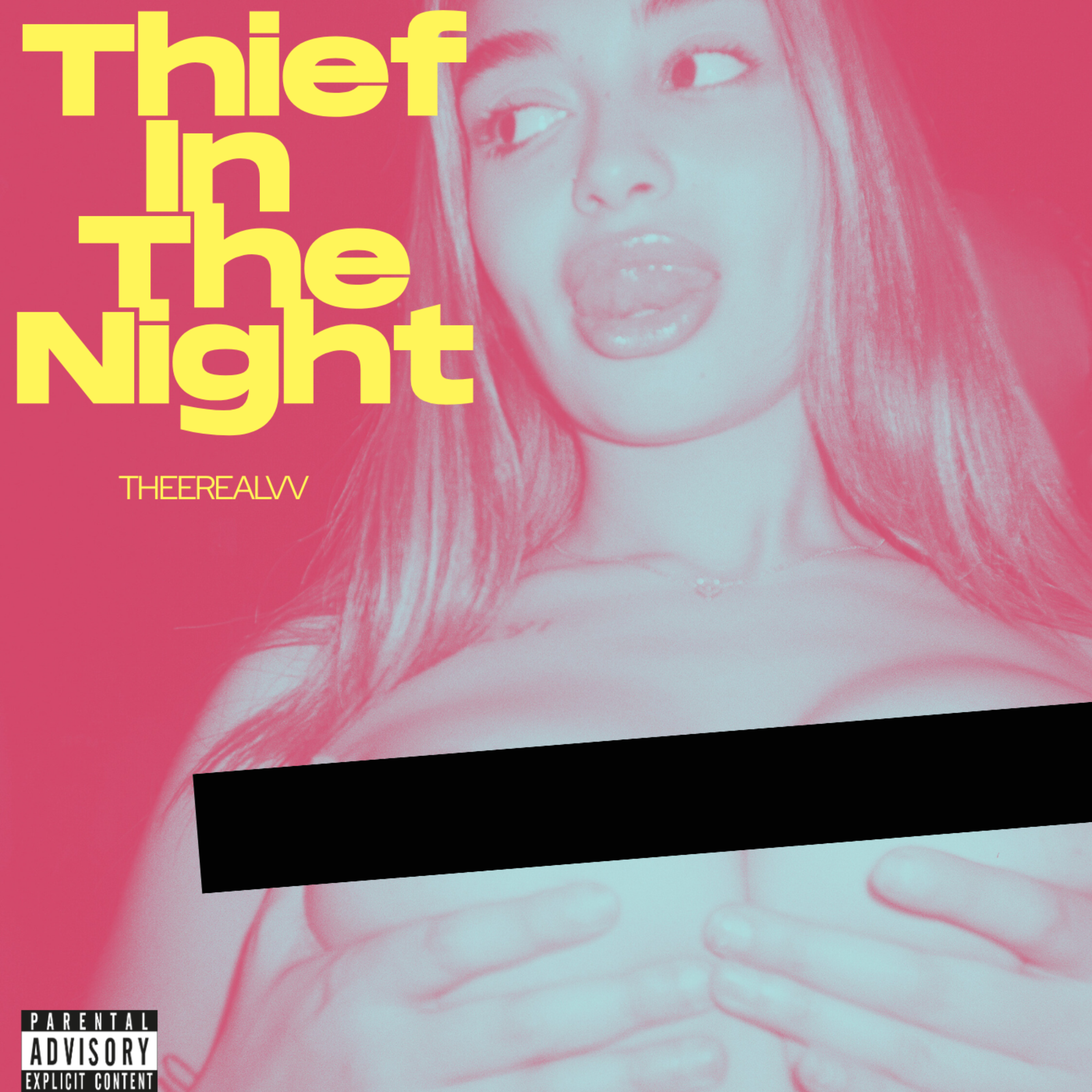 THIEF IN THE NIGHT by theerealVV cover art
