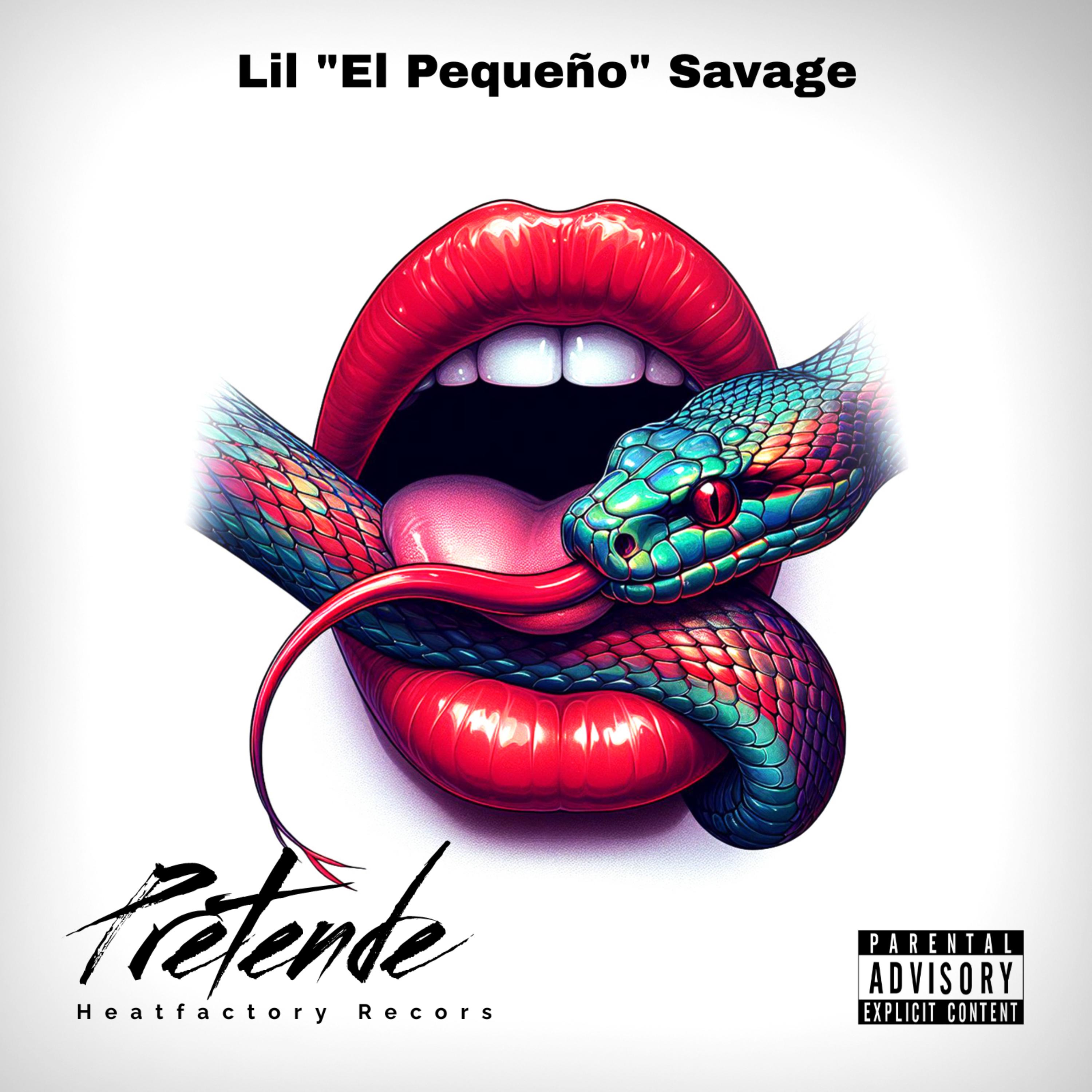Pretende artwork