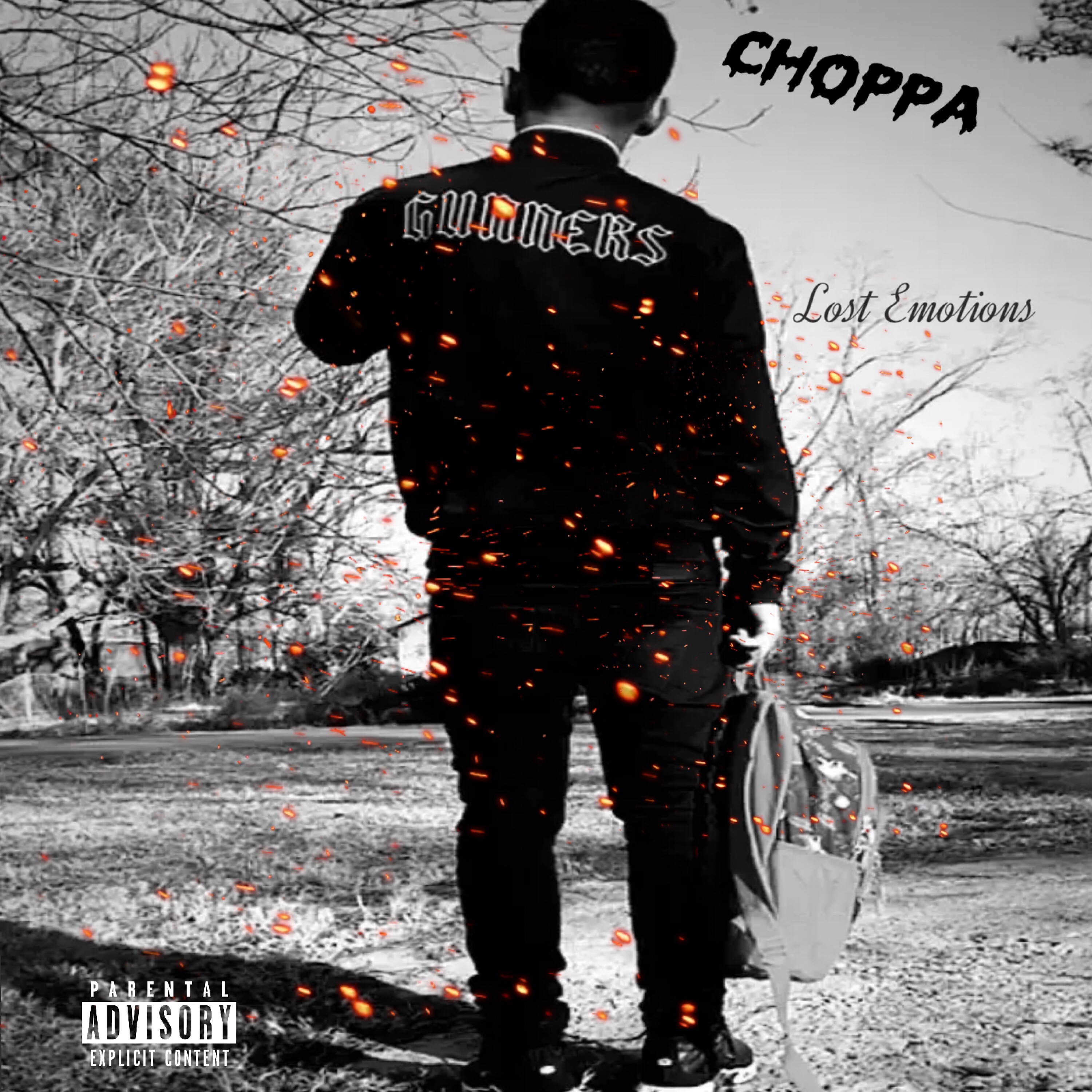 Lost Emotions artwork