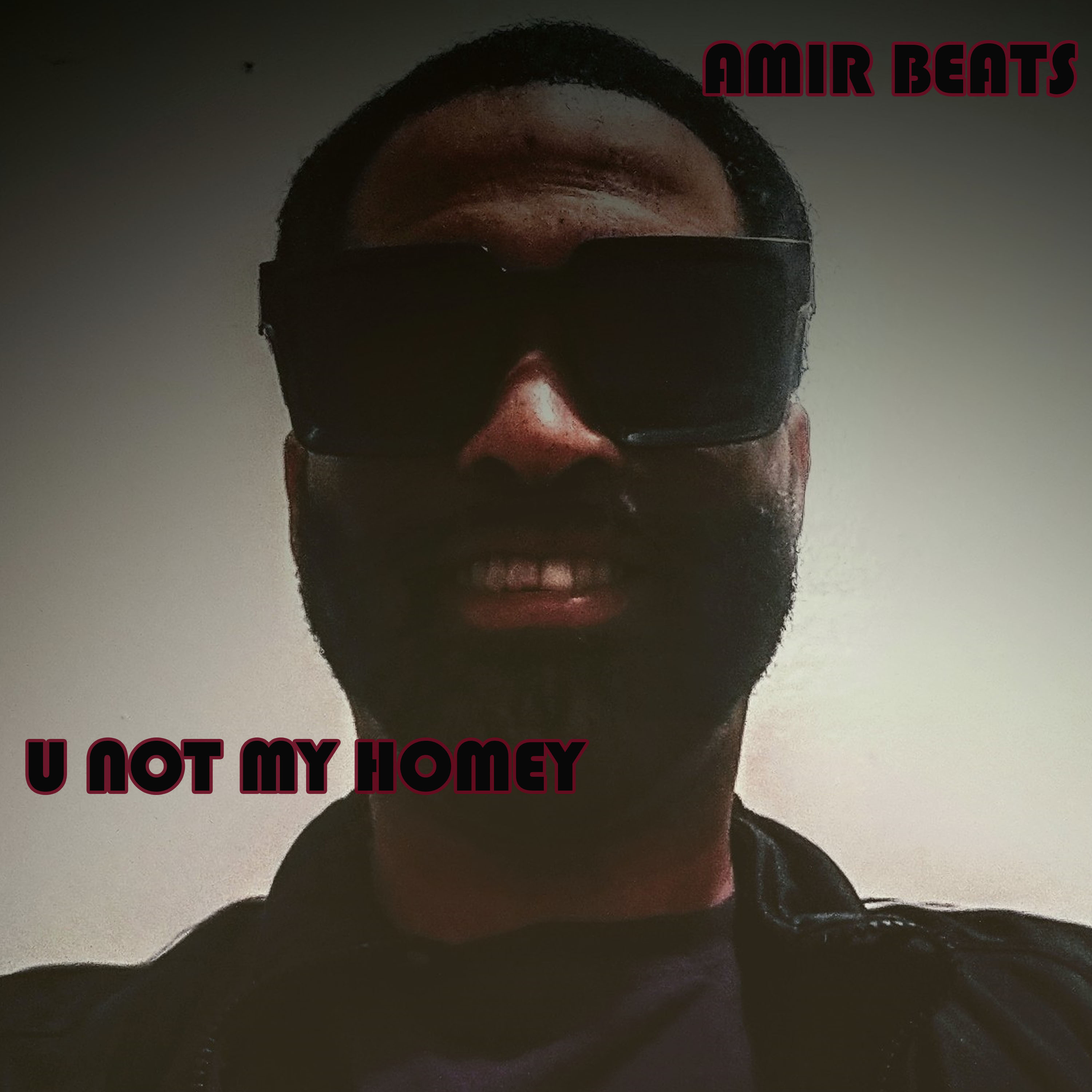 U Not My Homey artwork