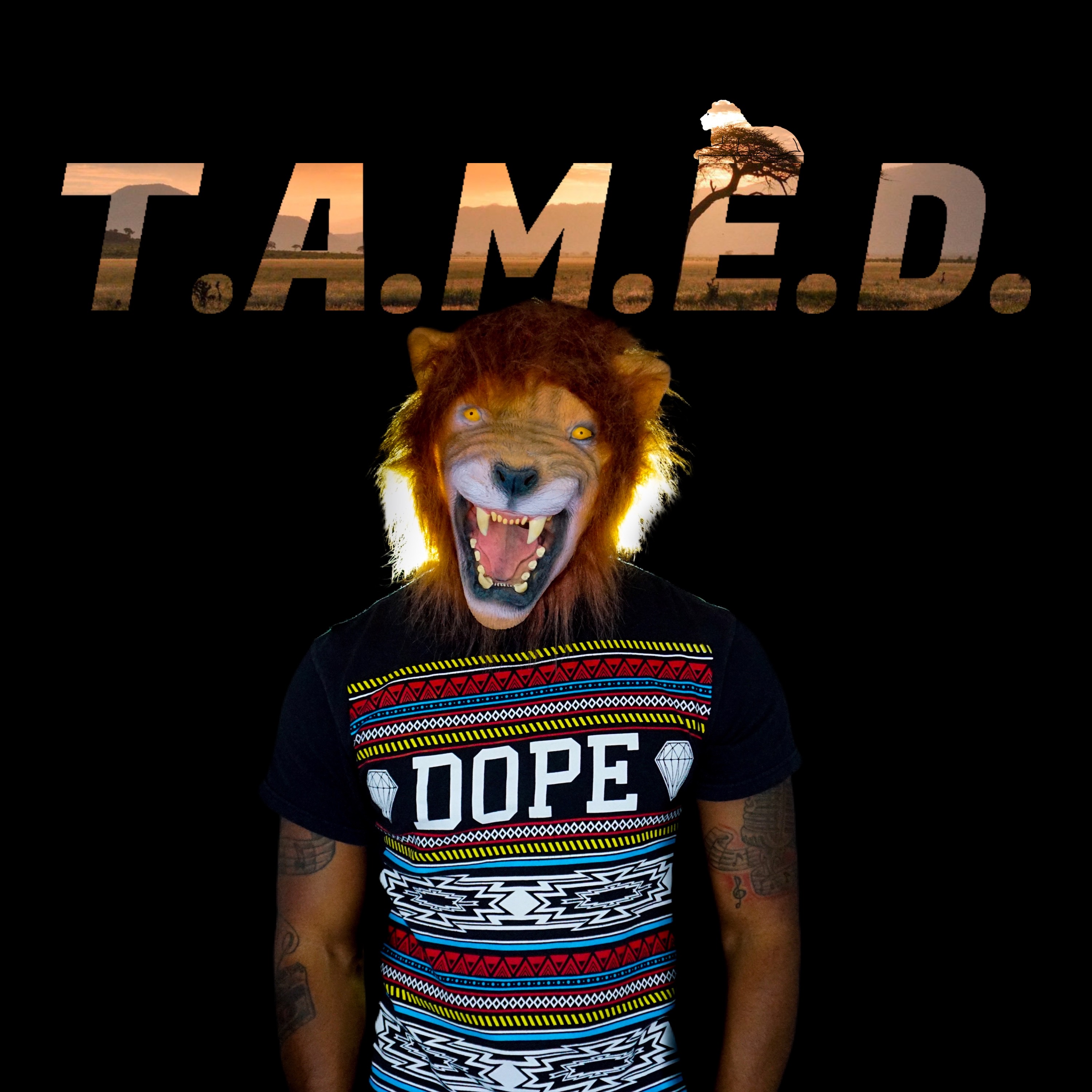 T.A.M.E.D. artwork