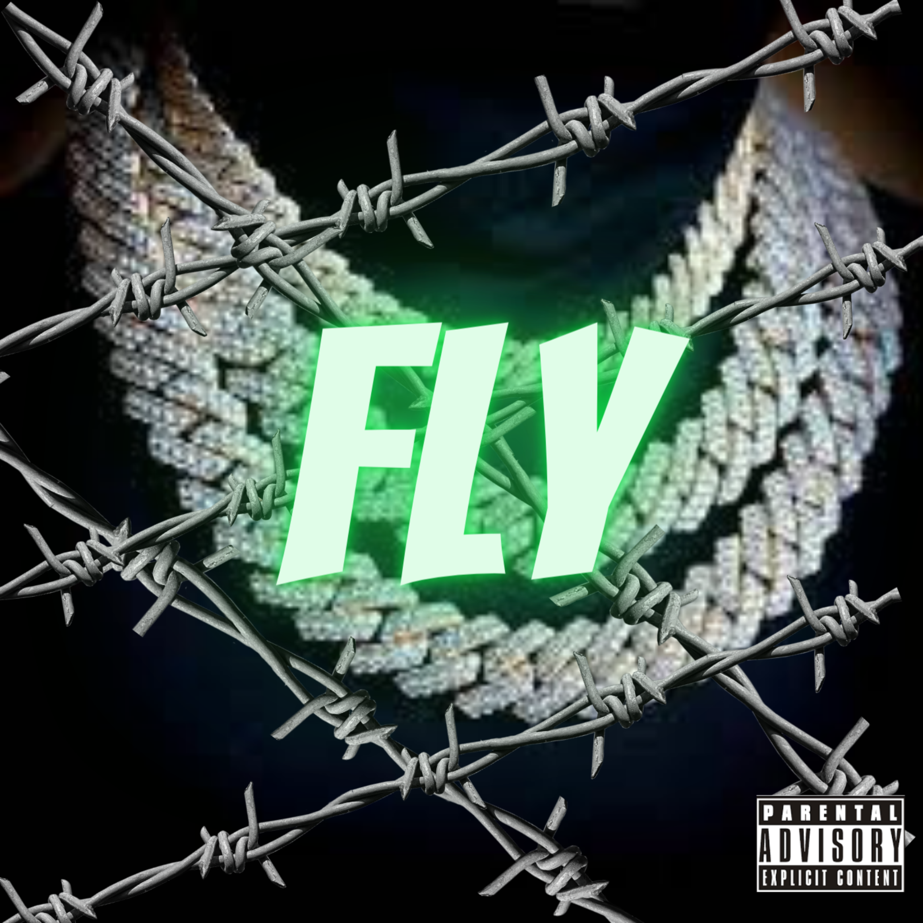 FLY artwork