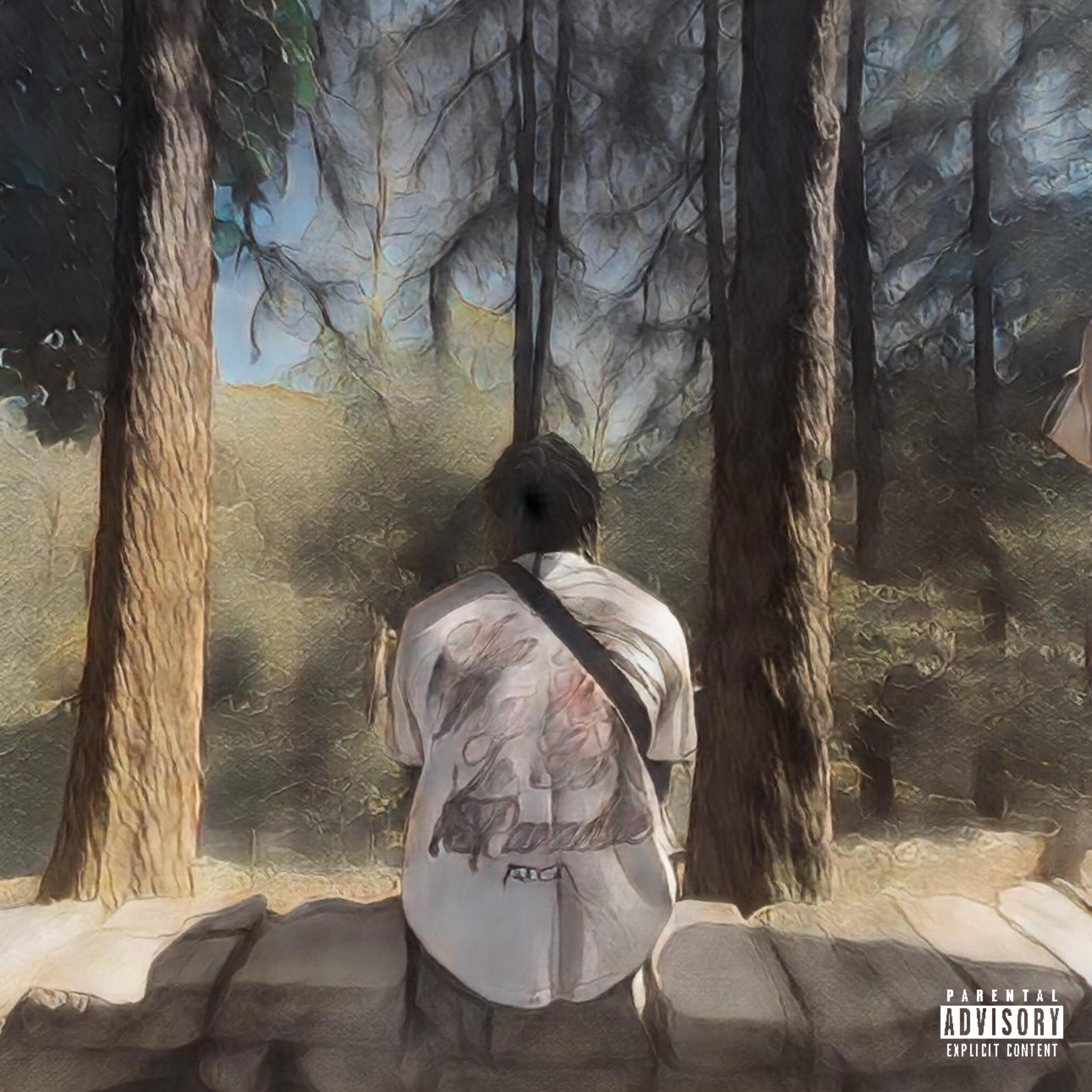 Searching artwork