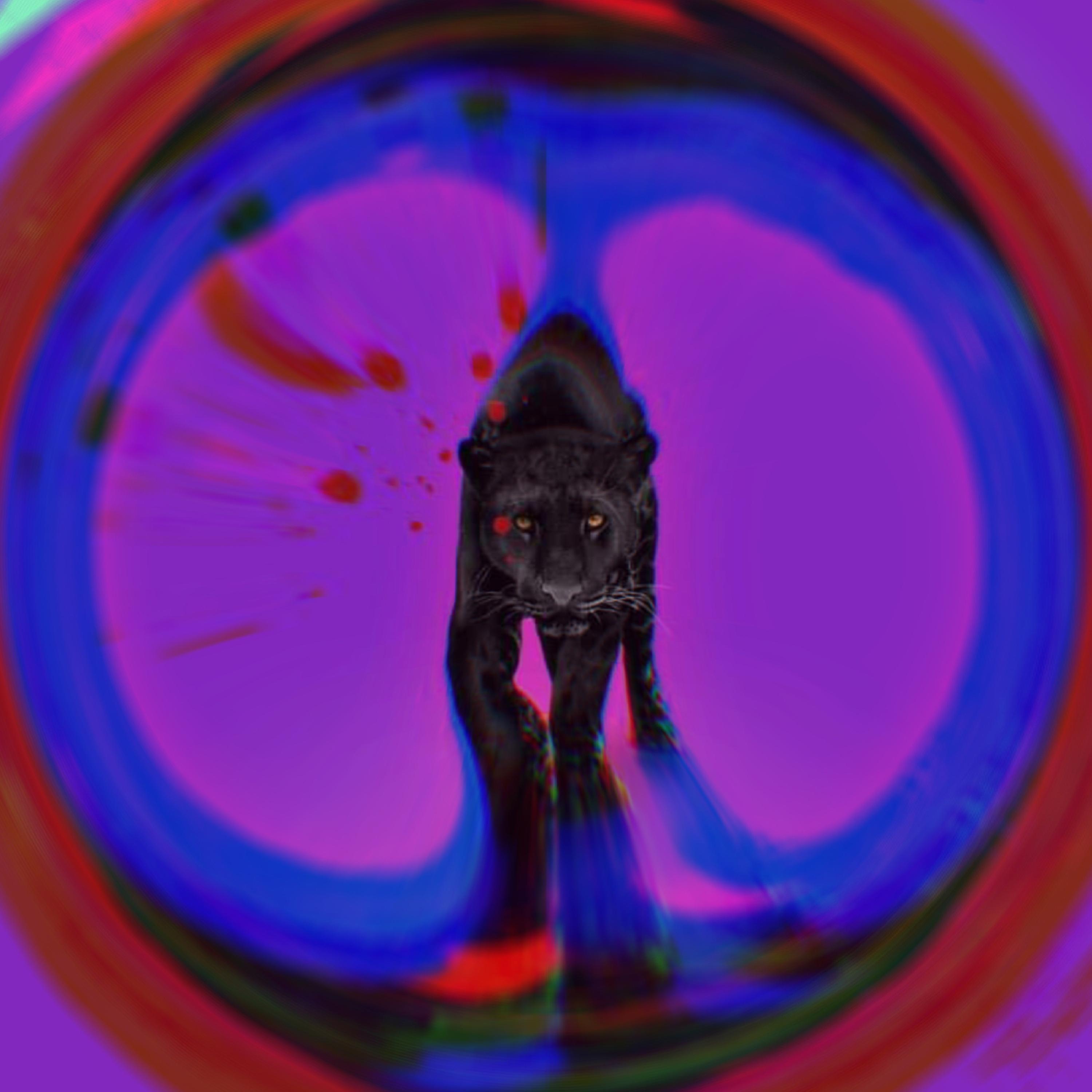 DARK PHONK POETRY artwork