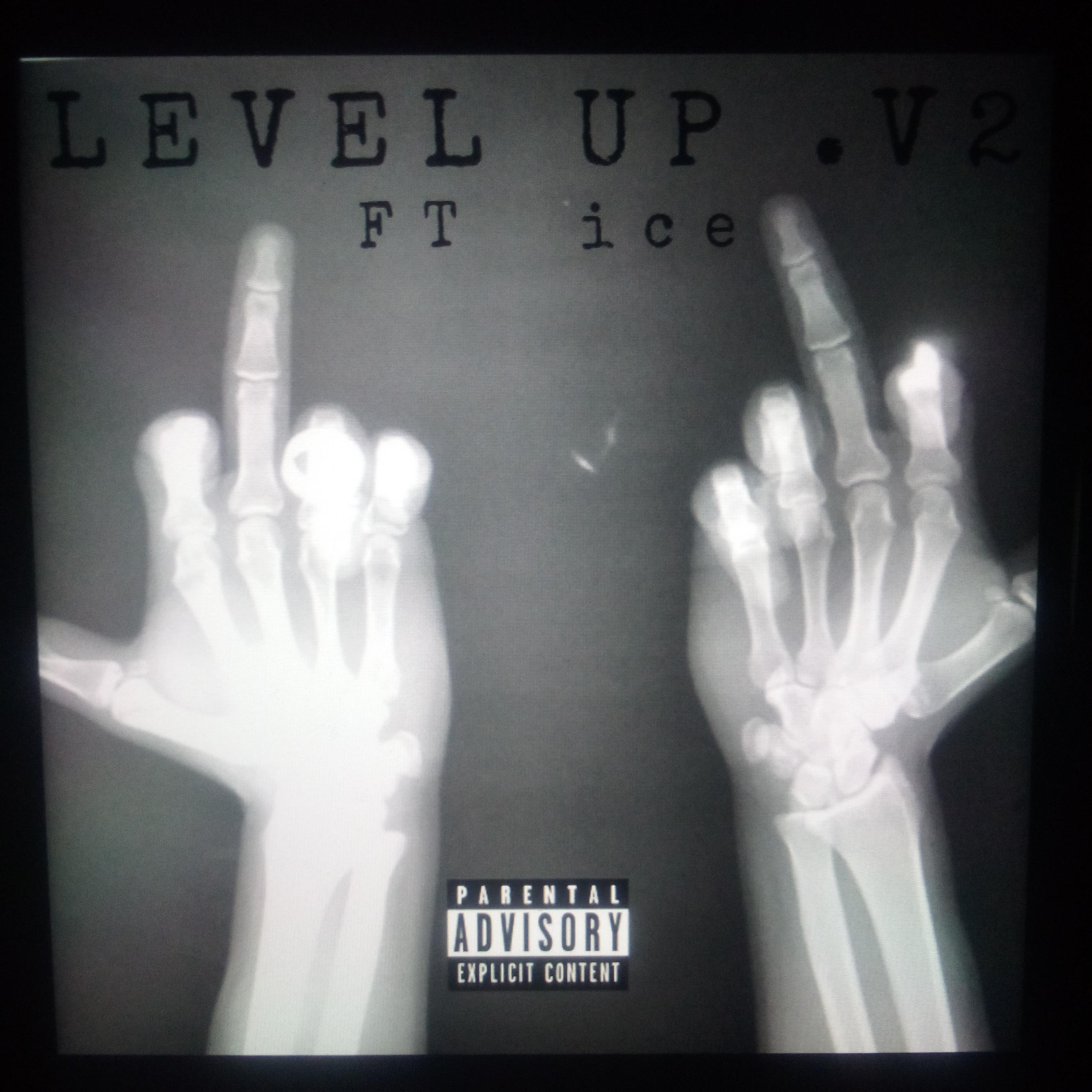Level Up V2 artwork