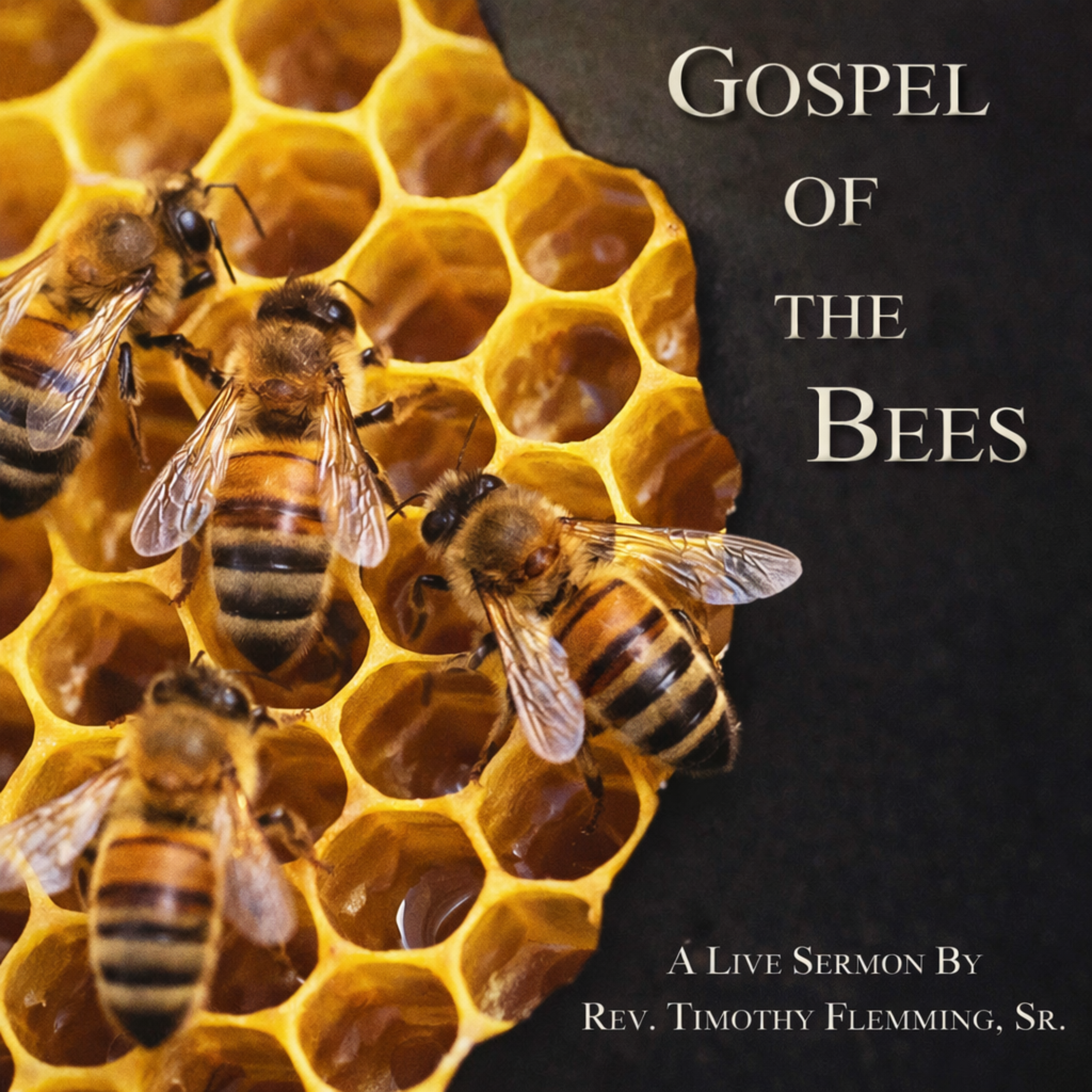 Gospel of the Bees artwork