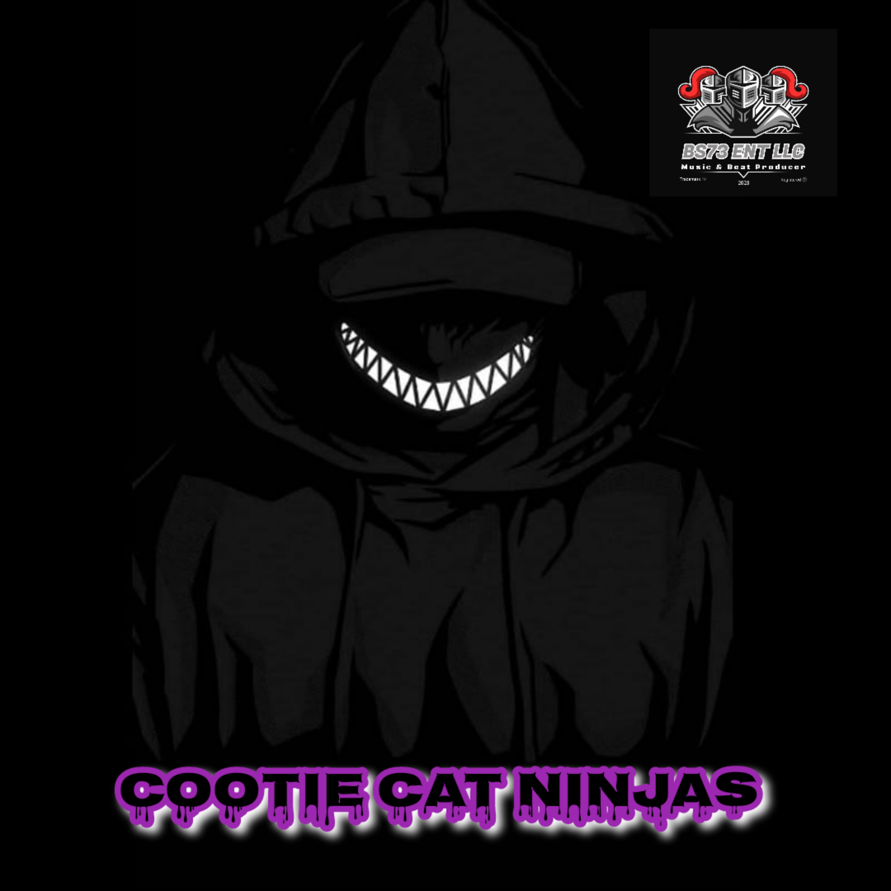 COOTIE CAT NINJAS artwork