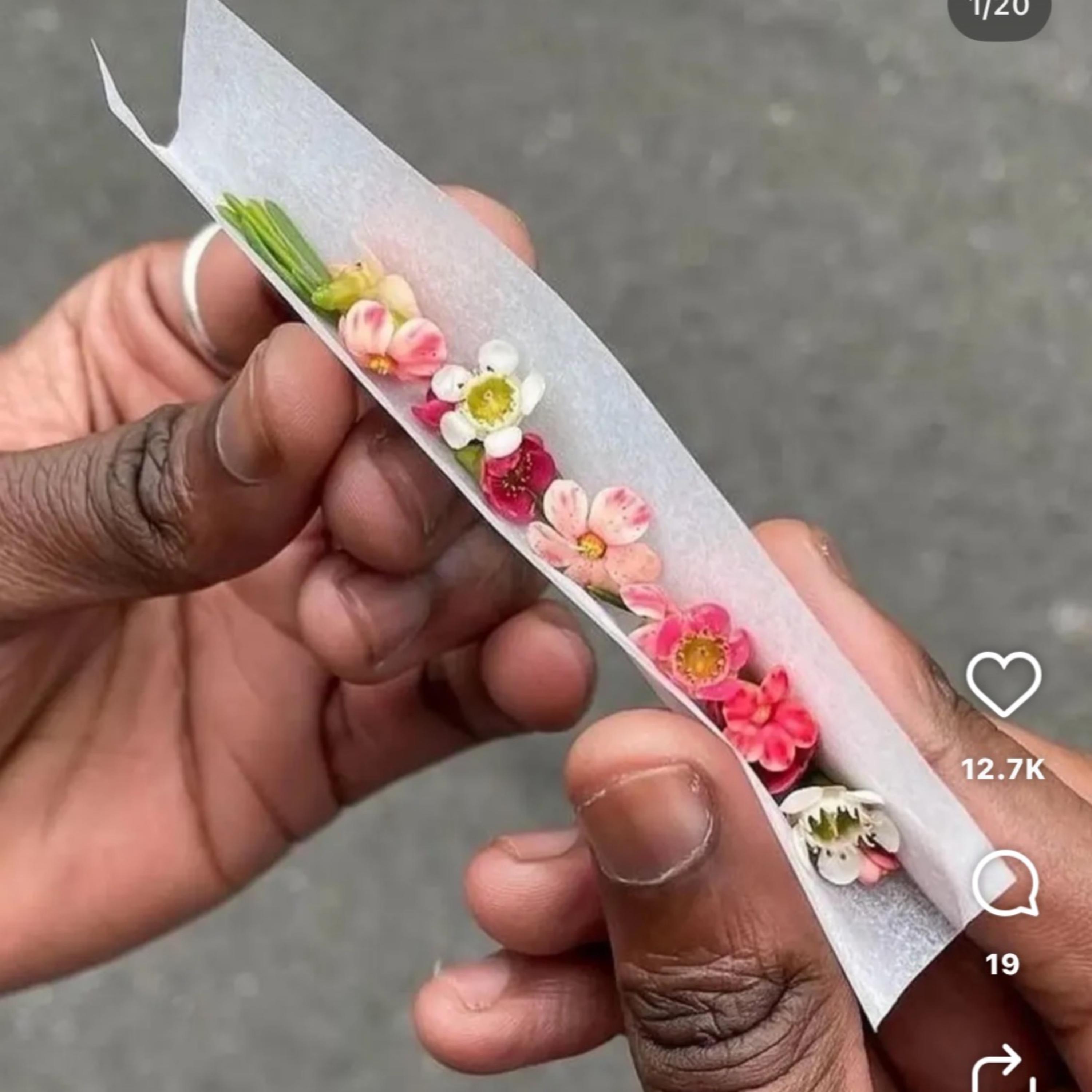 Poppin artwork