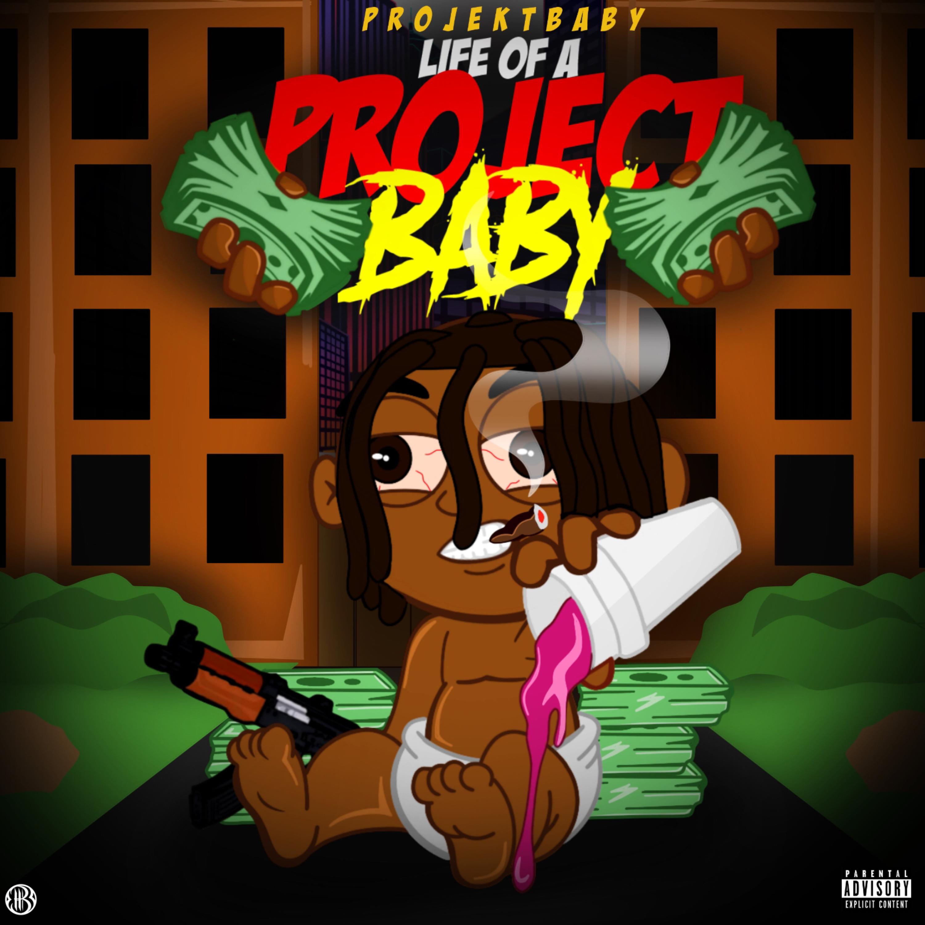 Life Of A Project Baby artwork