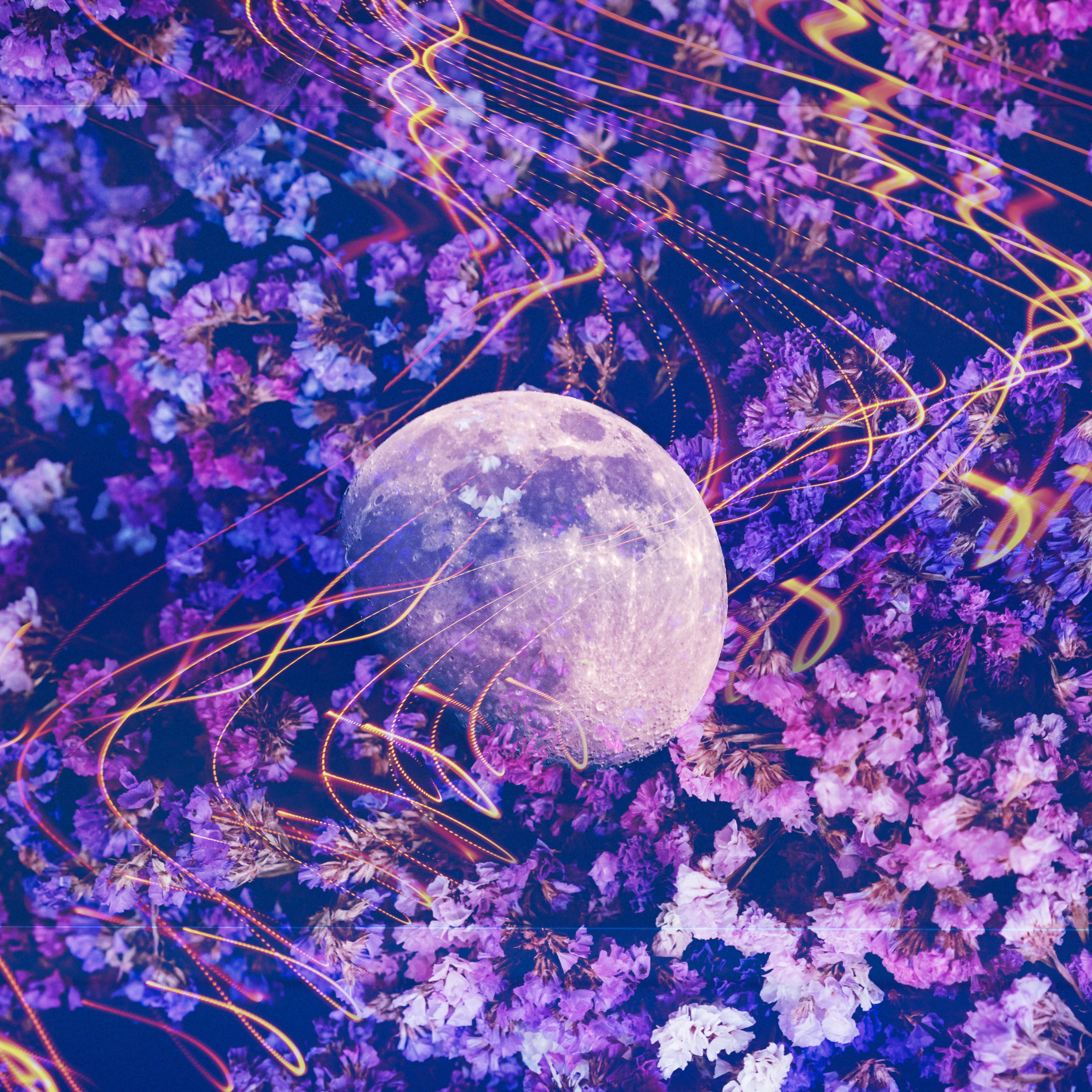 Bouncing Moon artwork