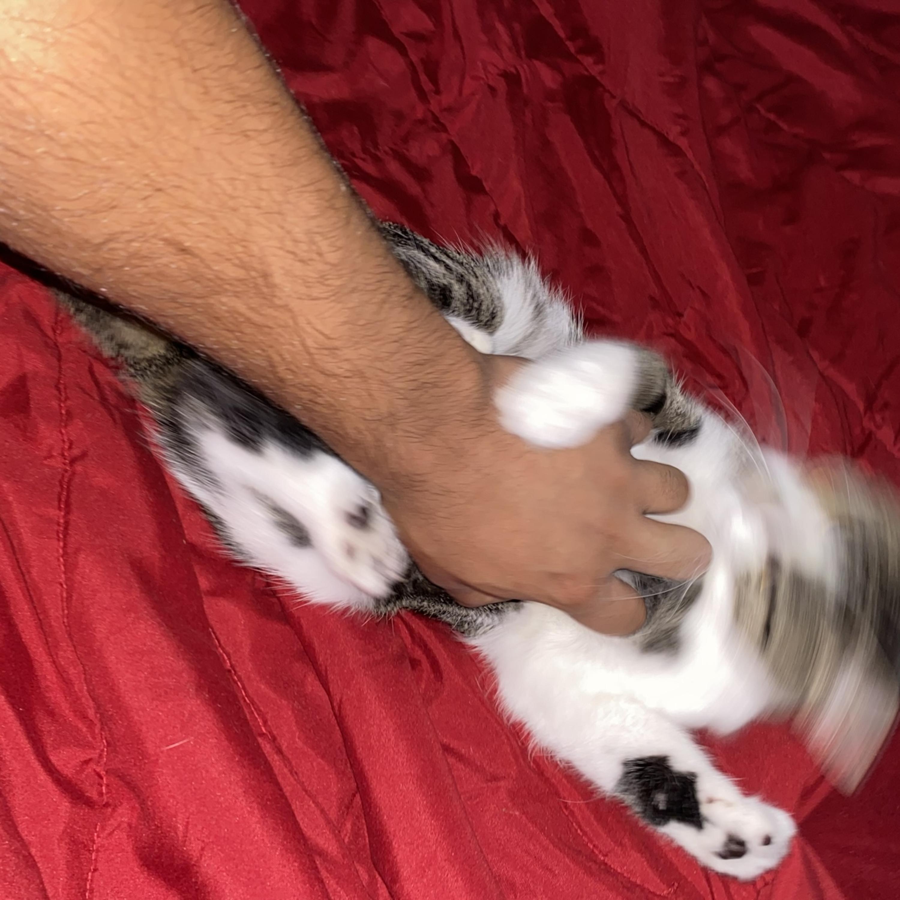 Alright by bxllxrd cover art
