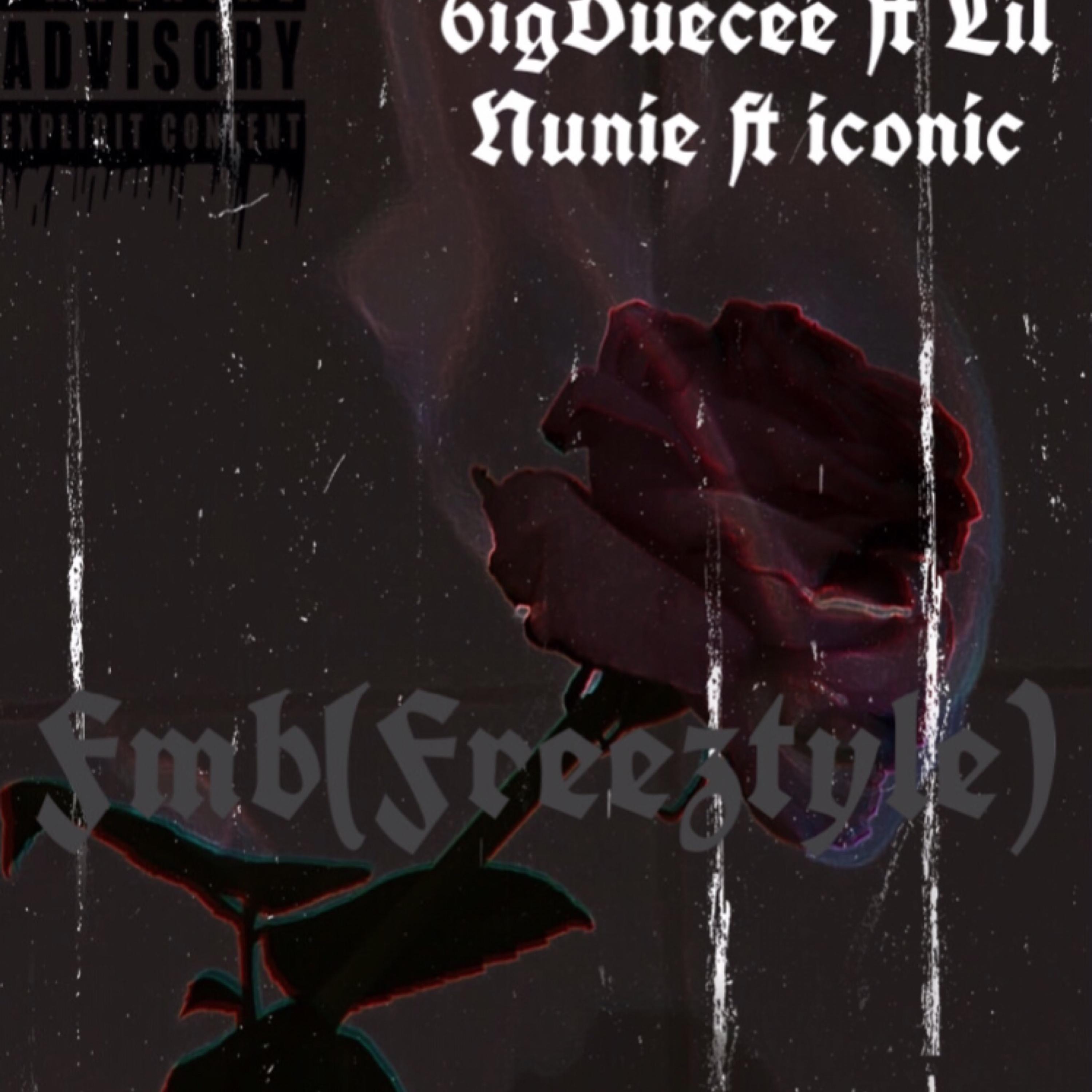 Fmb(Freestyle) artwork