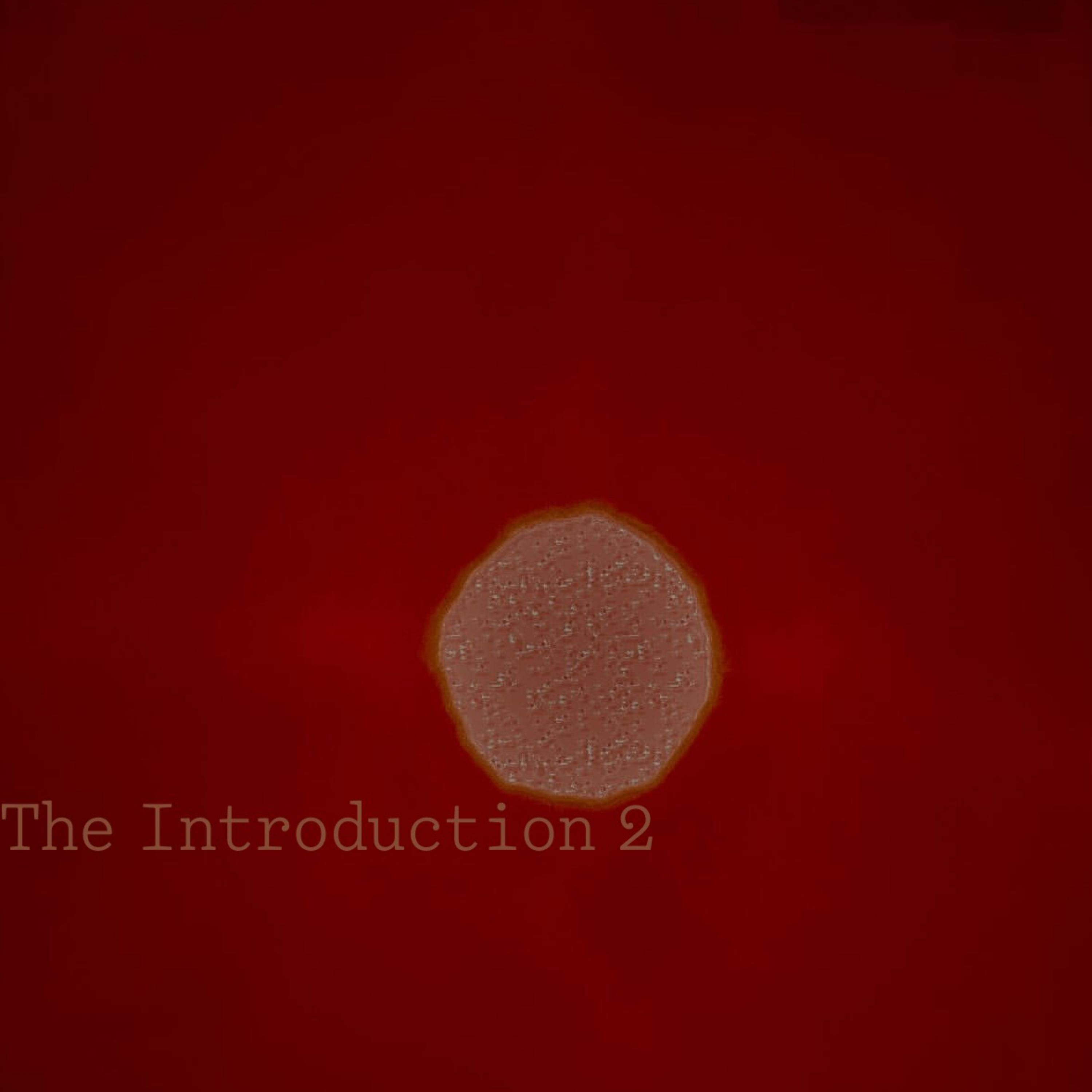 The Introduction 2 artwork