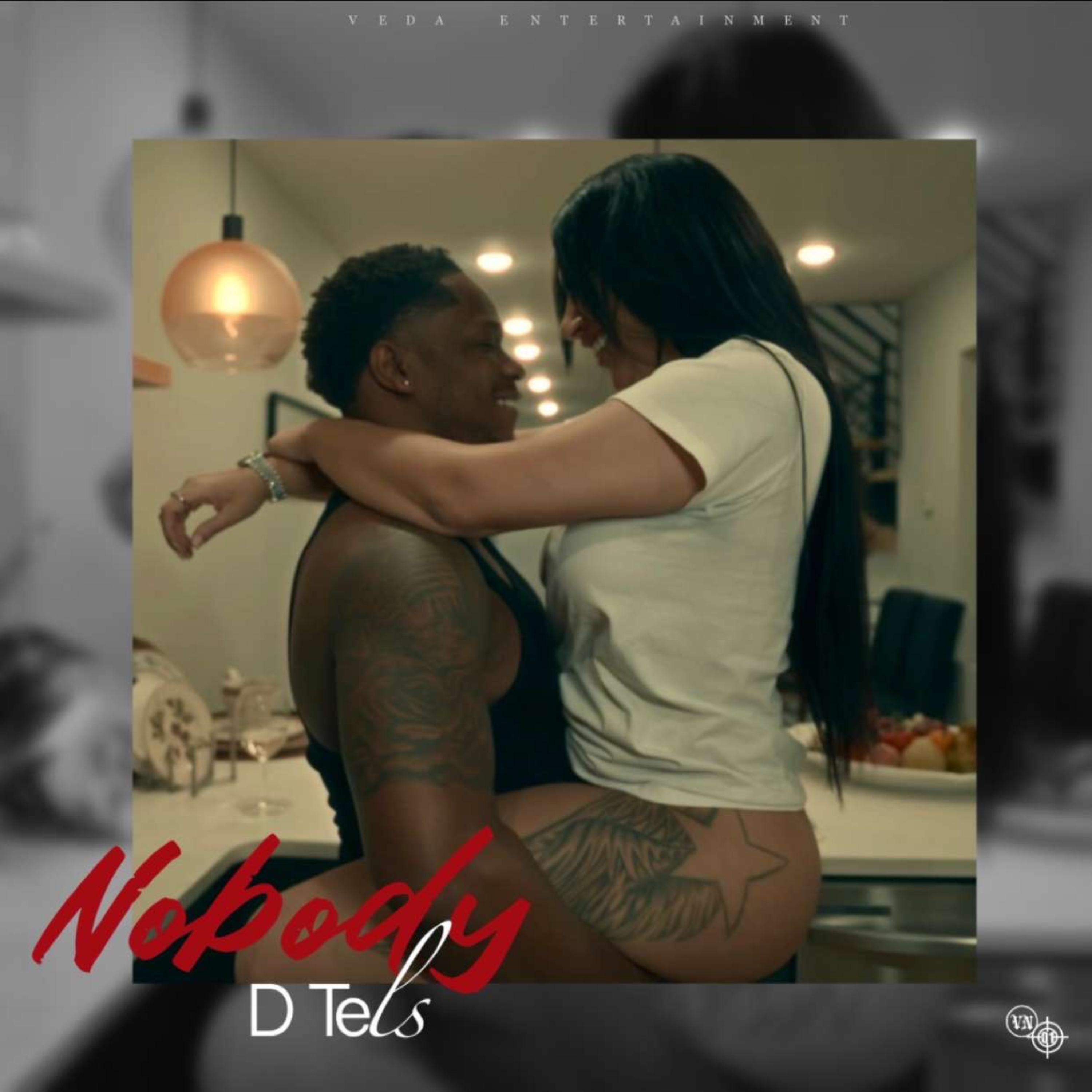 Nobody by D Tels cover art
