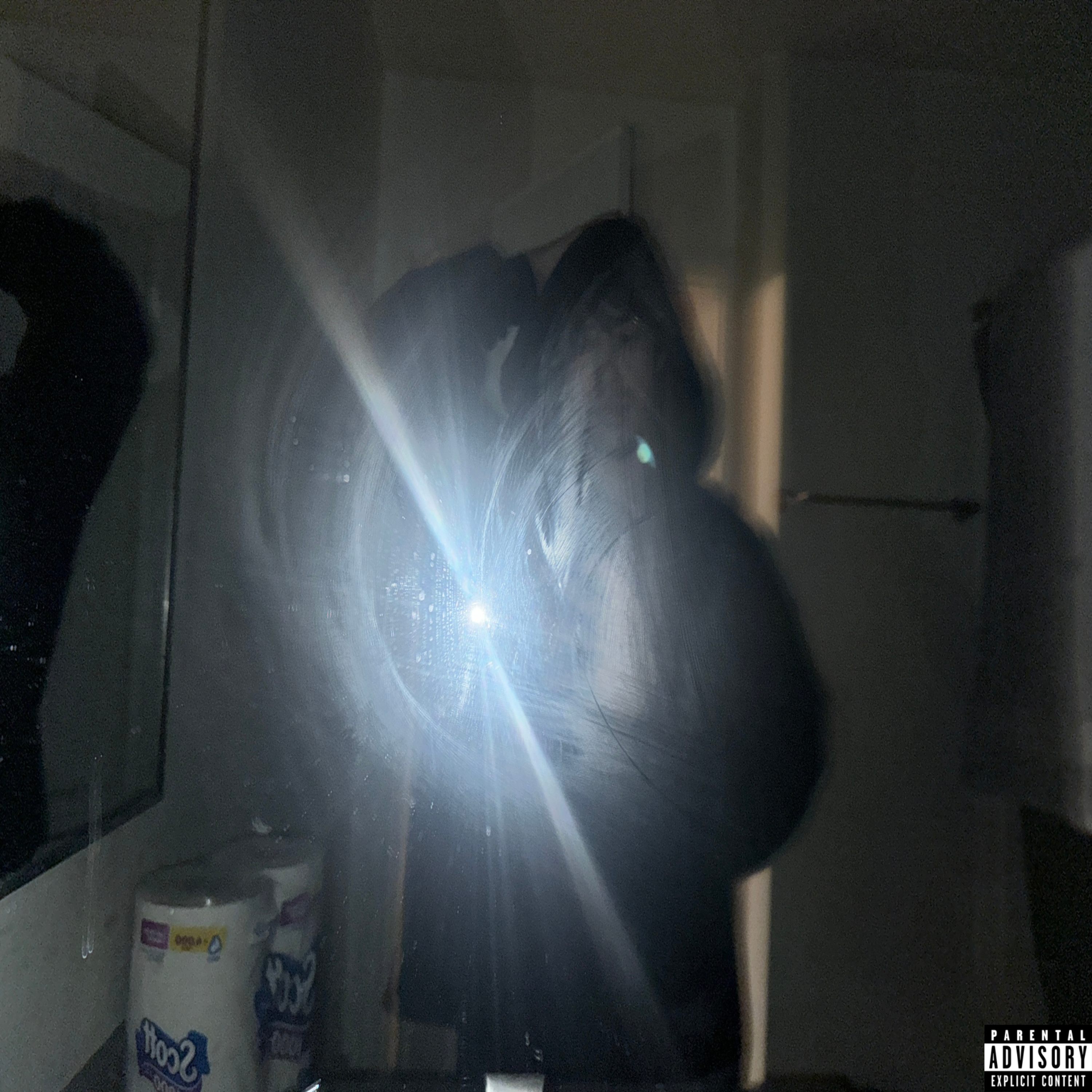 300 XANS AND A 12 GAUGE artwork