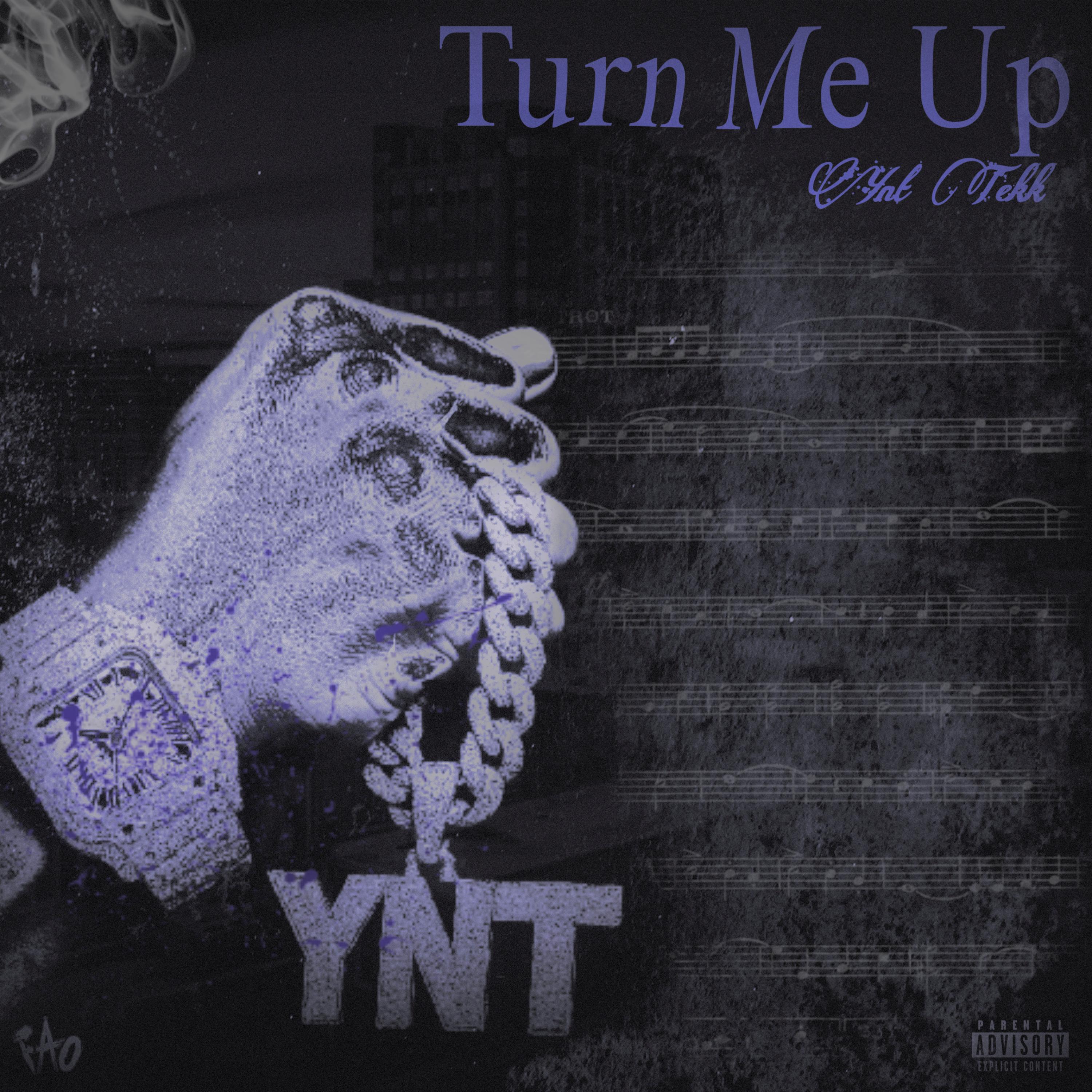 Turn Me Up artwork