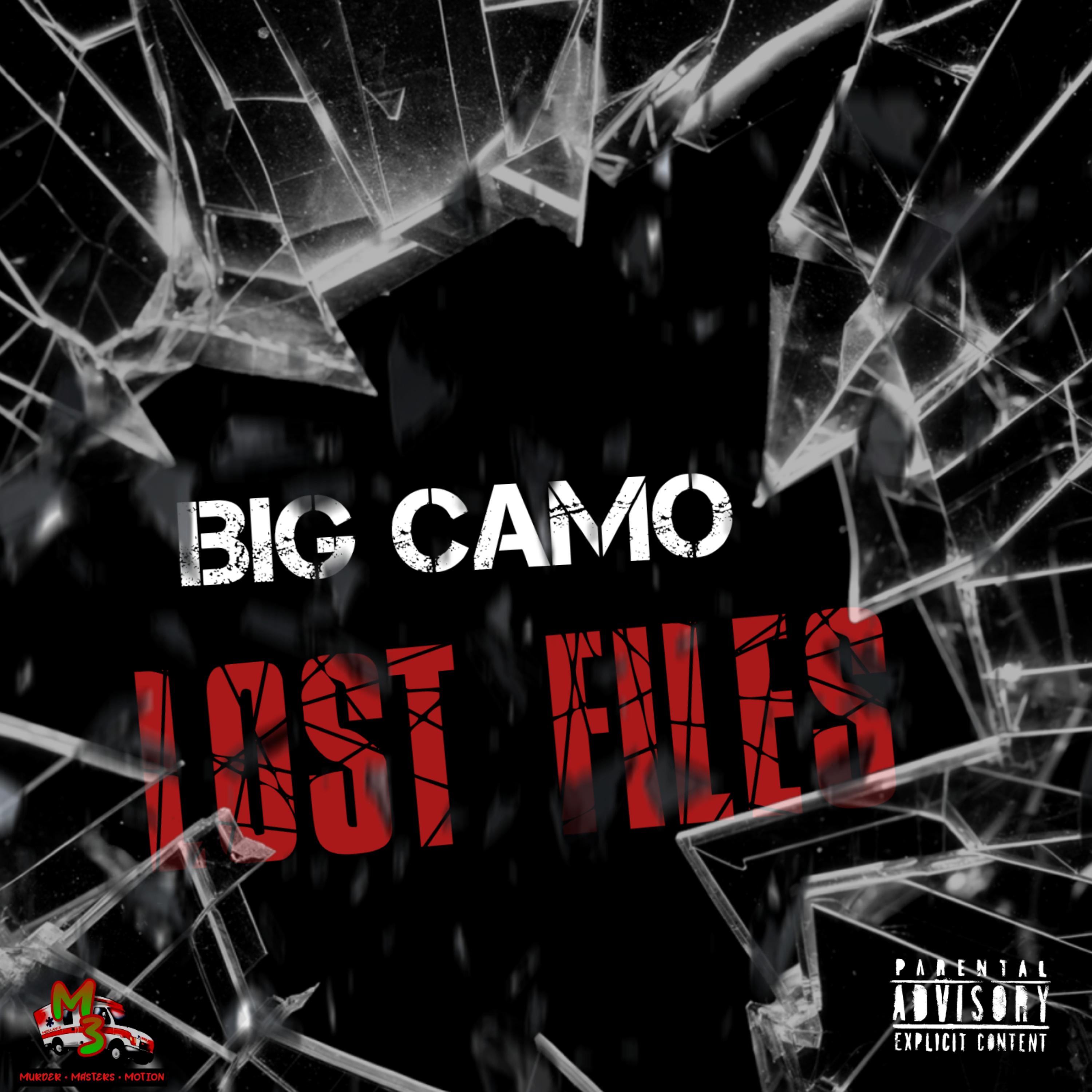 LOST FILES artwork