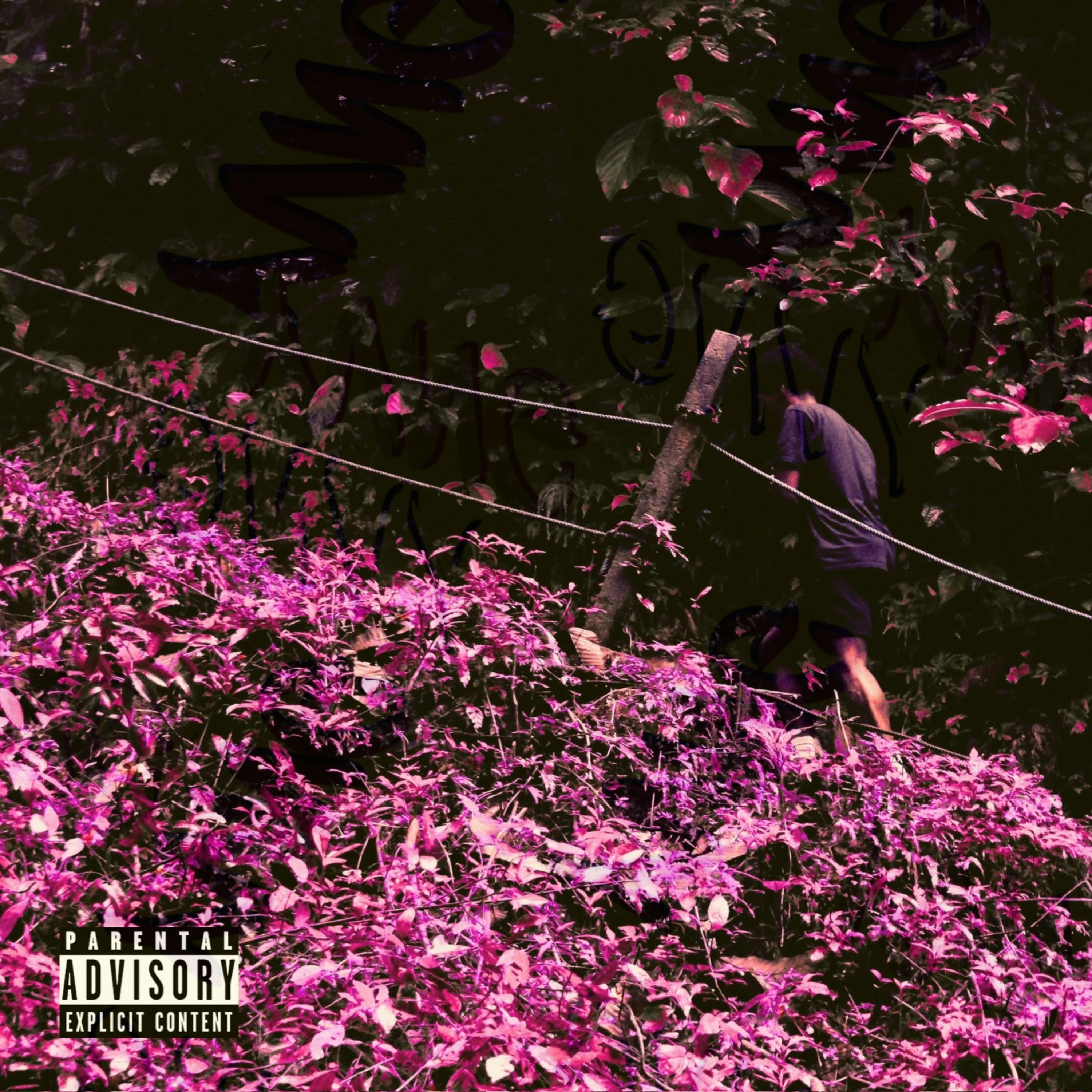 Back To Me artwork