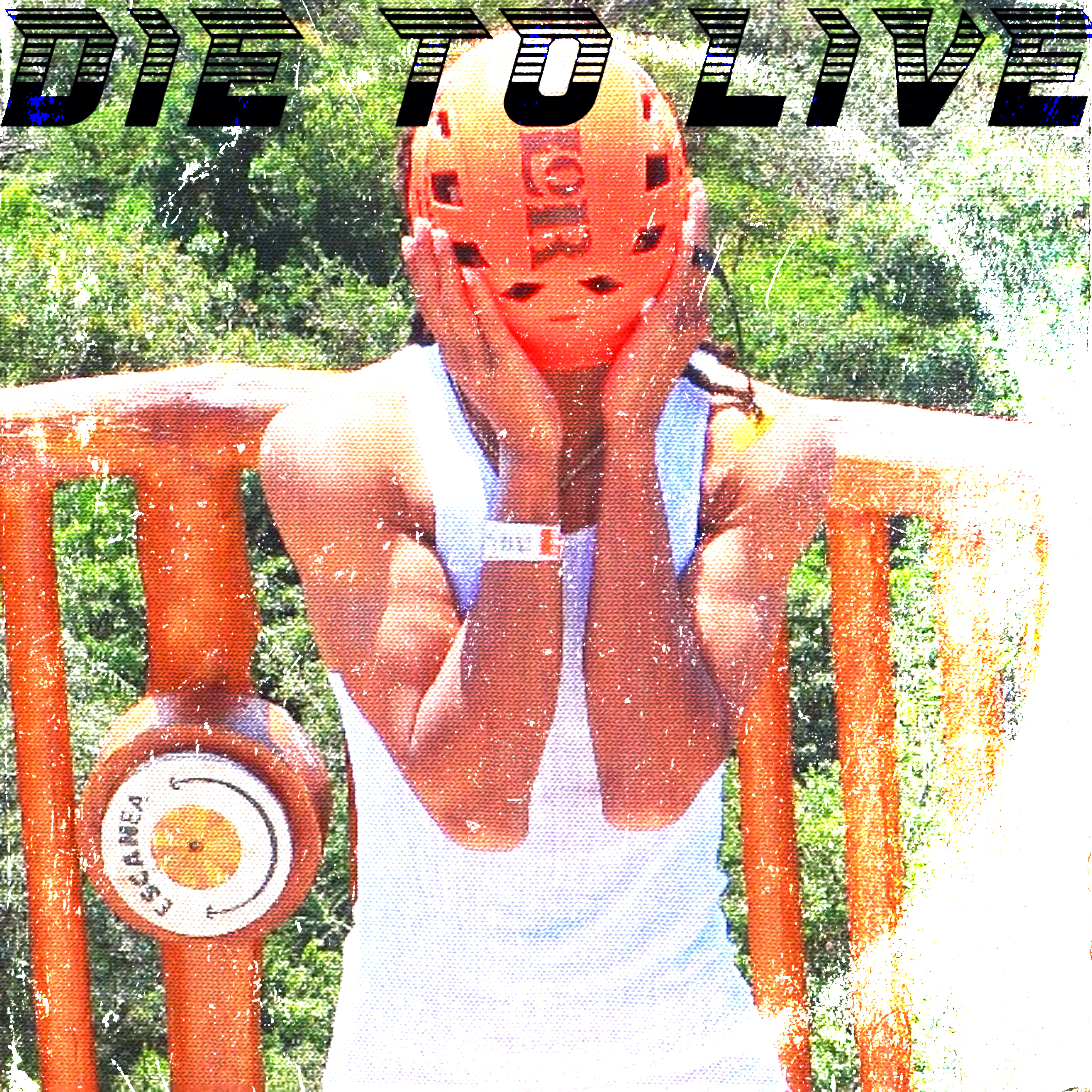 DIE TO LIVE artwork