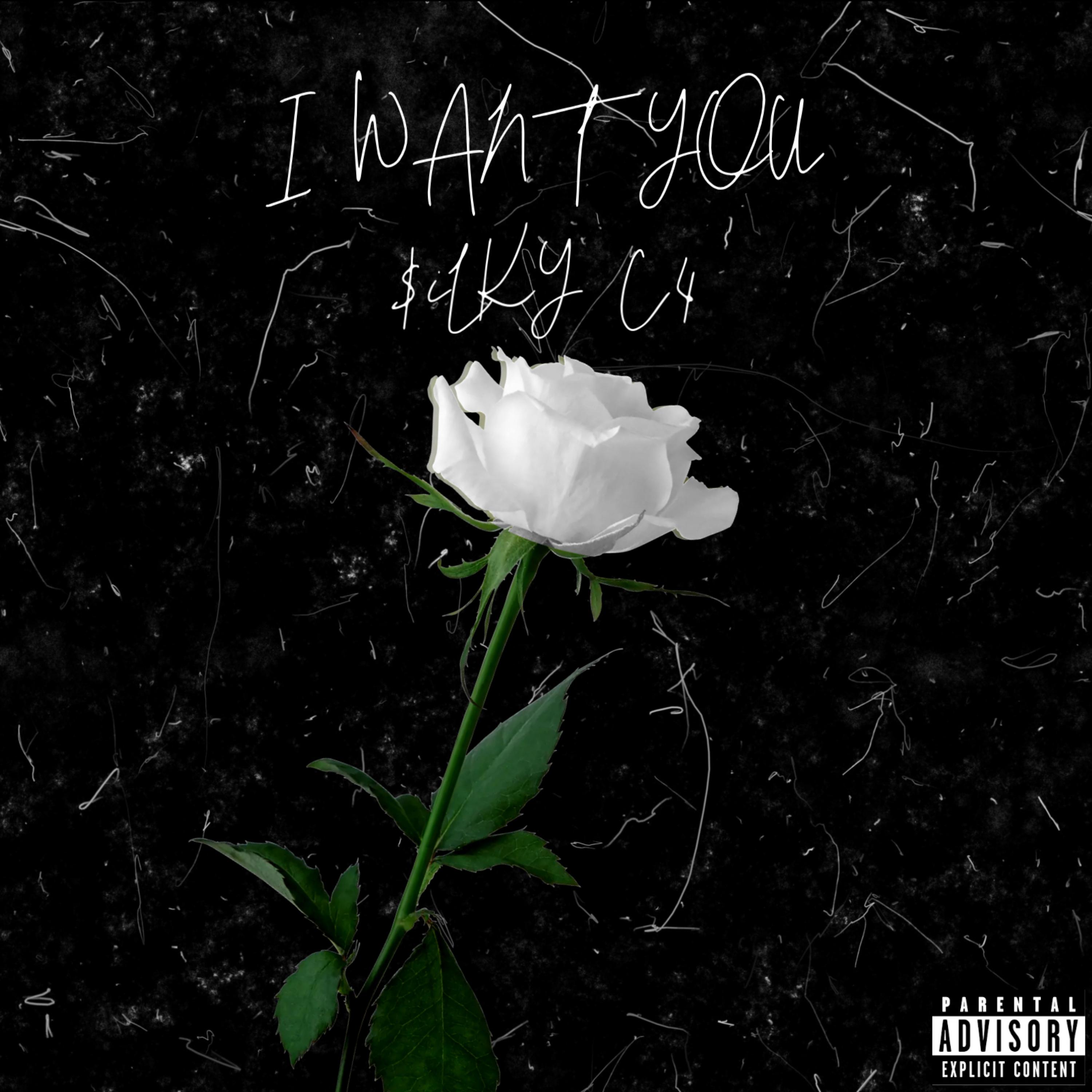 I Want You by Osama C4 cover art