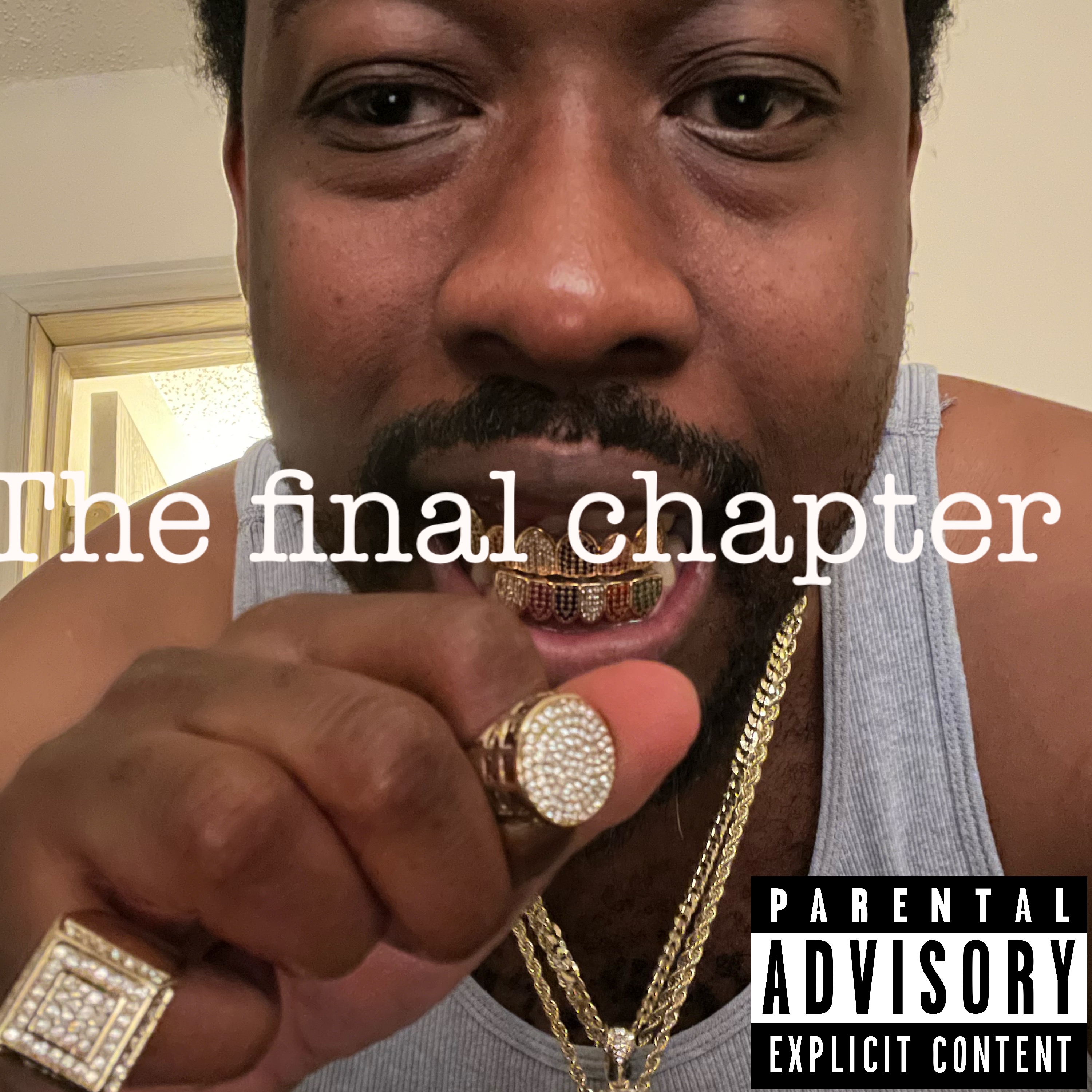 The Final Chapter (Deluxe Edition) artwork