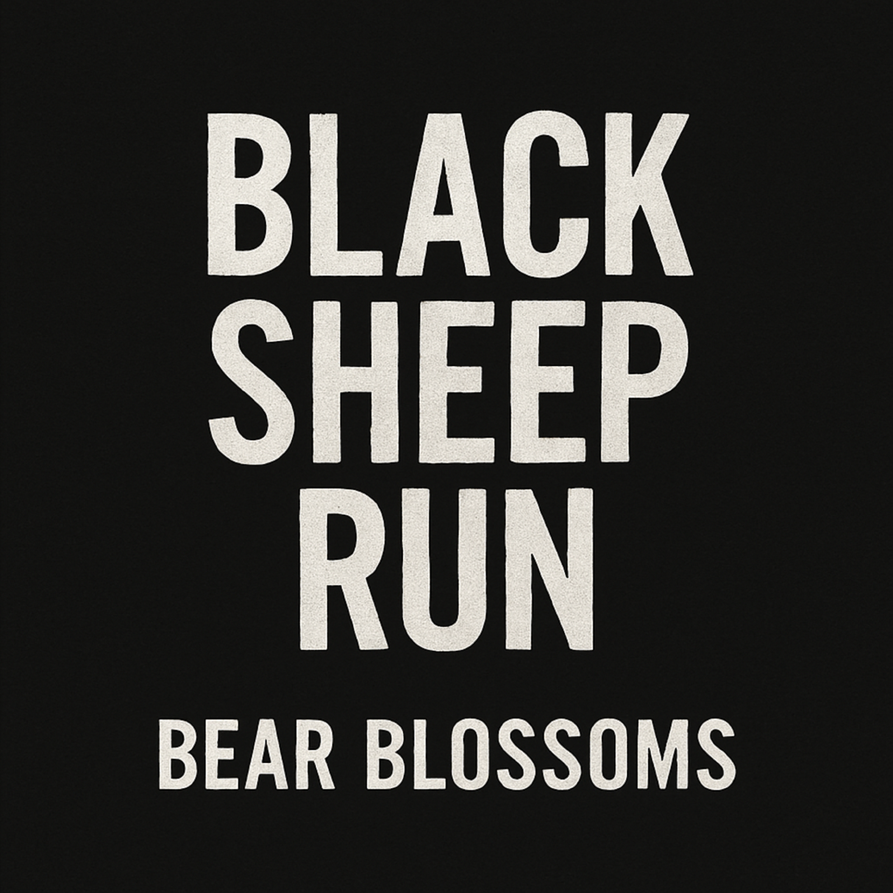 BLACK SHEEP RUN artwork