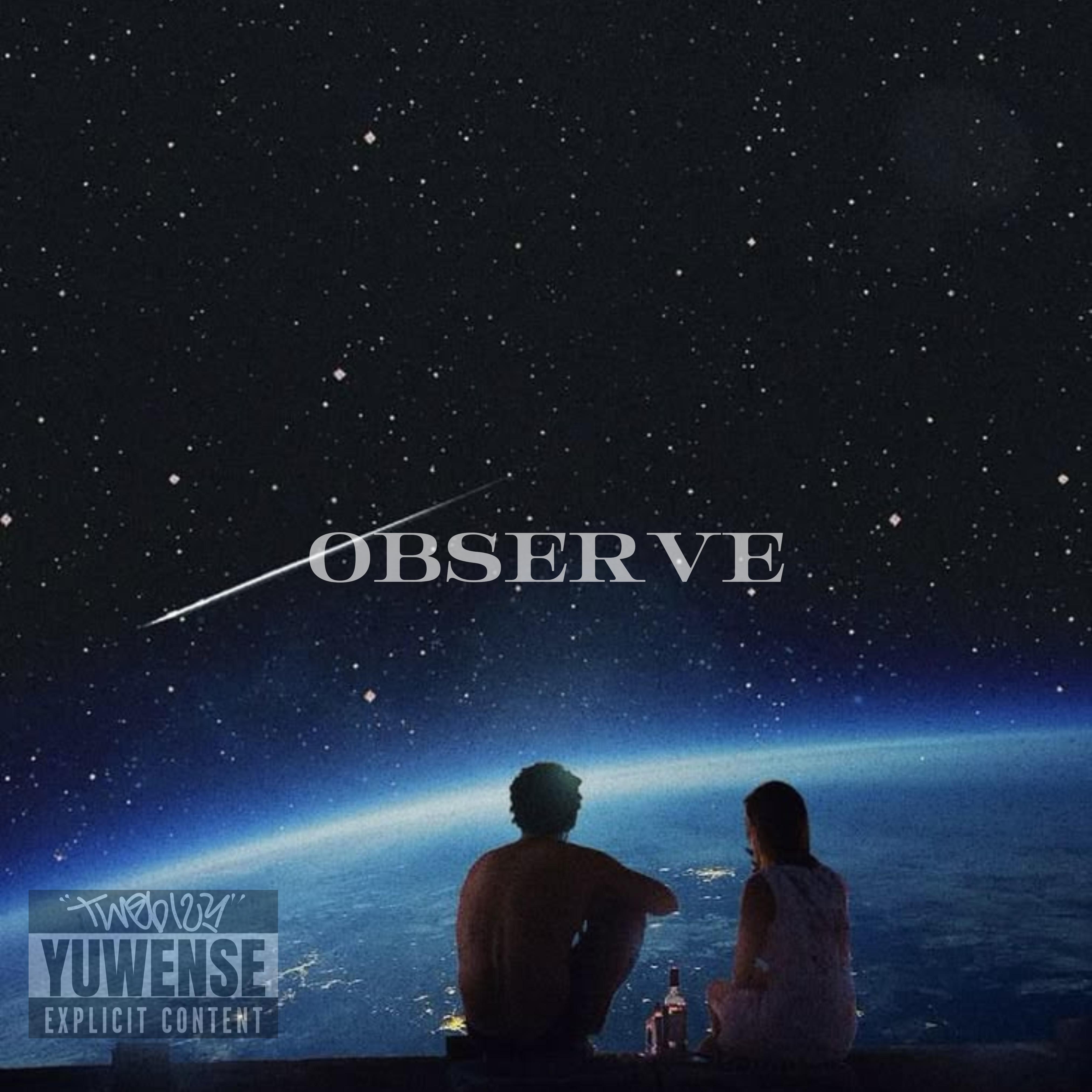 OBSERVE artwork