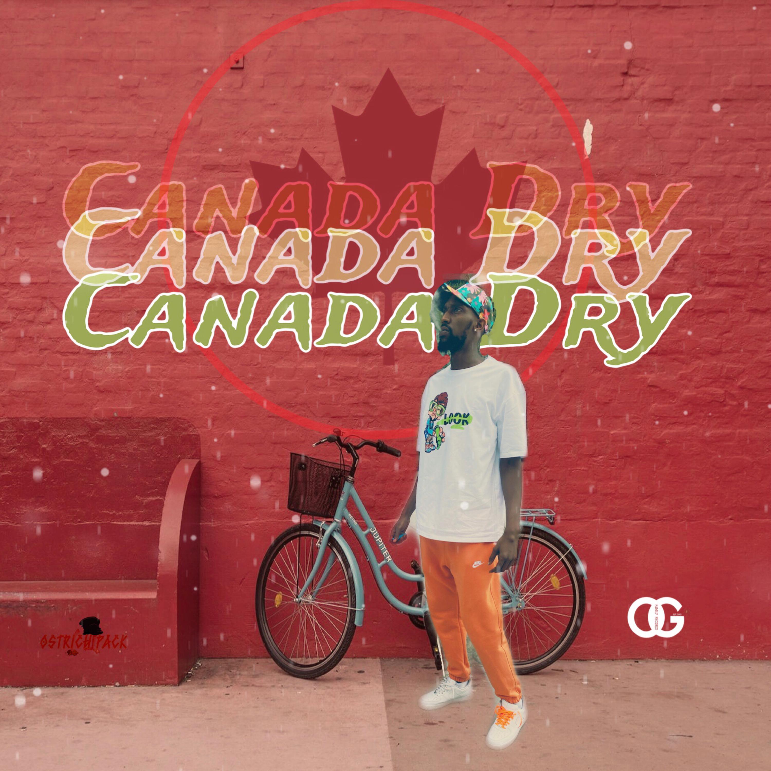 CanadaDry artwork