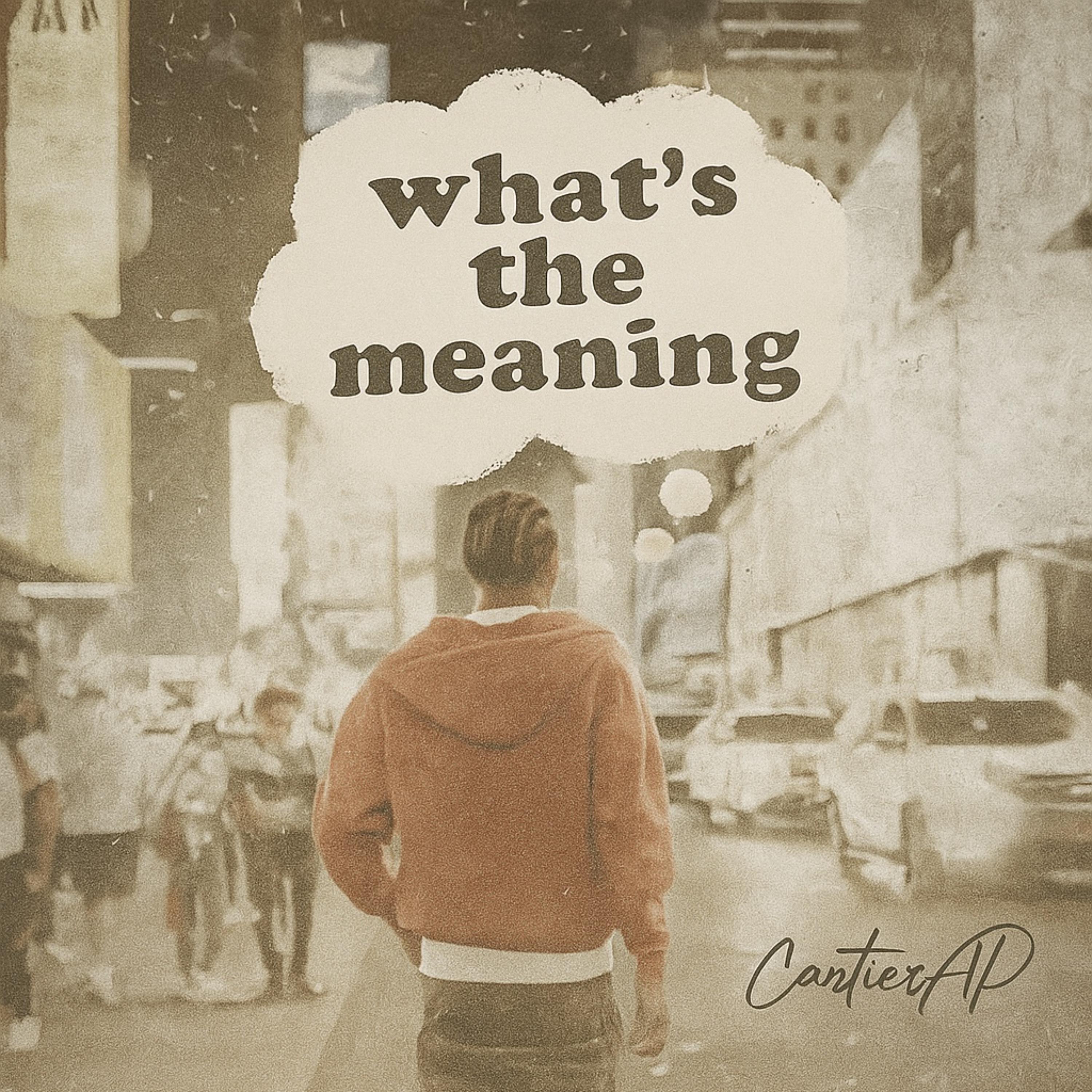 WTM? by CartierAP cover art