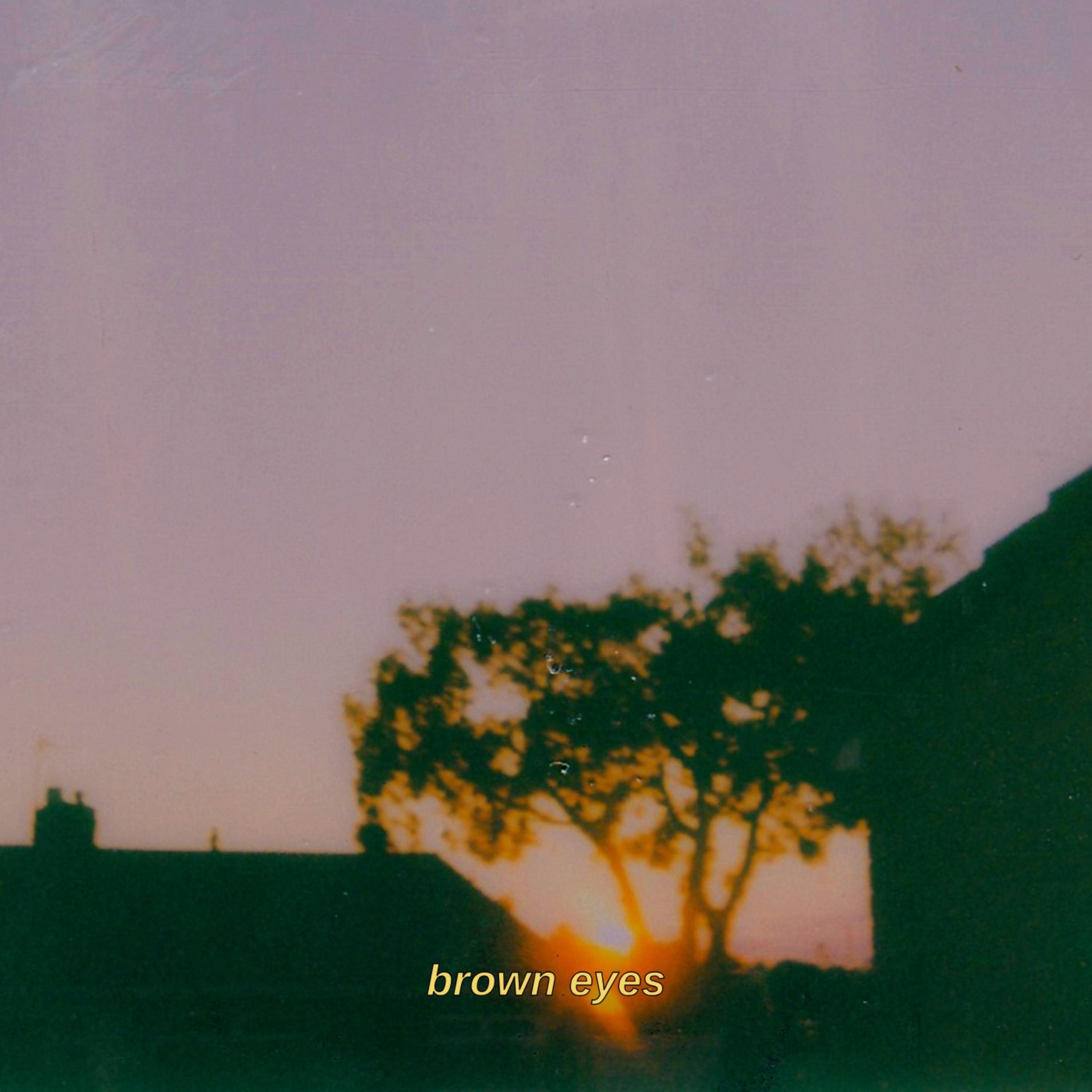 brown eyes artwork