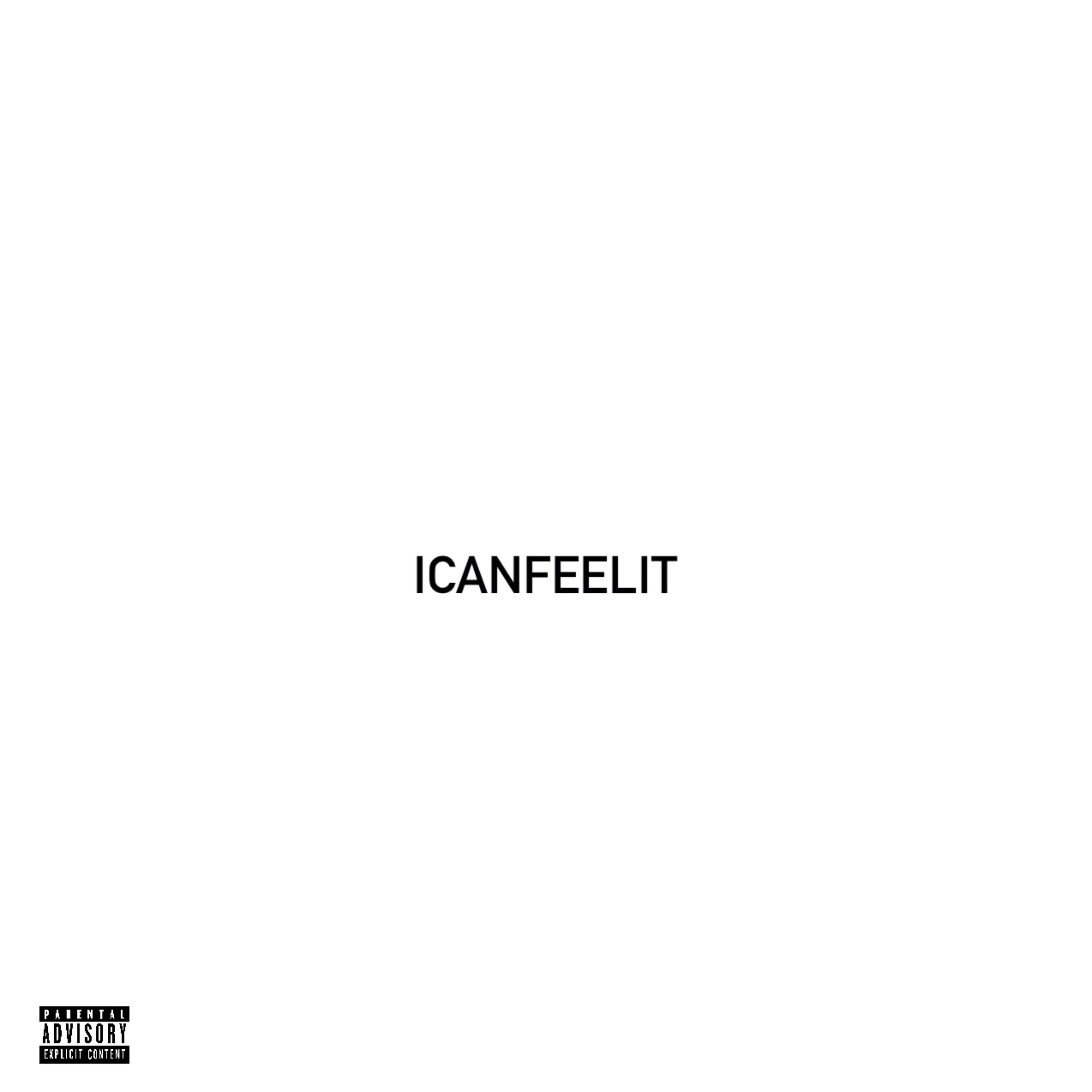 ICANFEELIT artwork