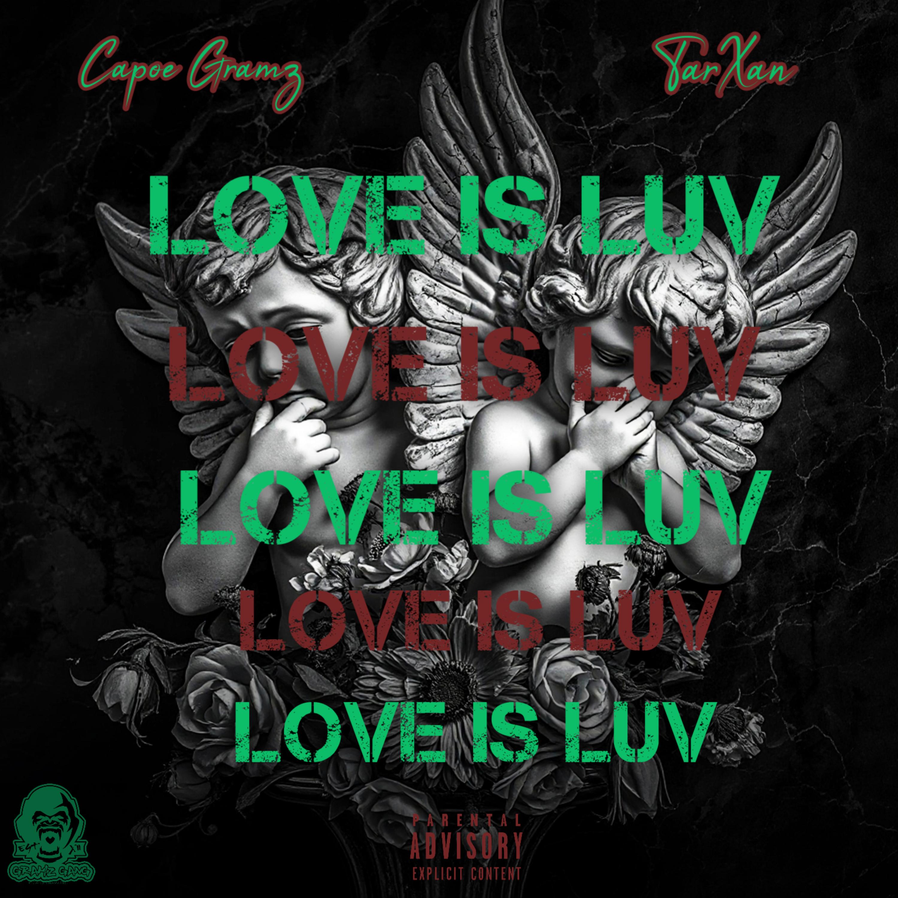 Love Is Luv artwork
